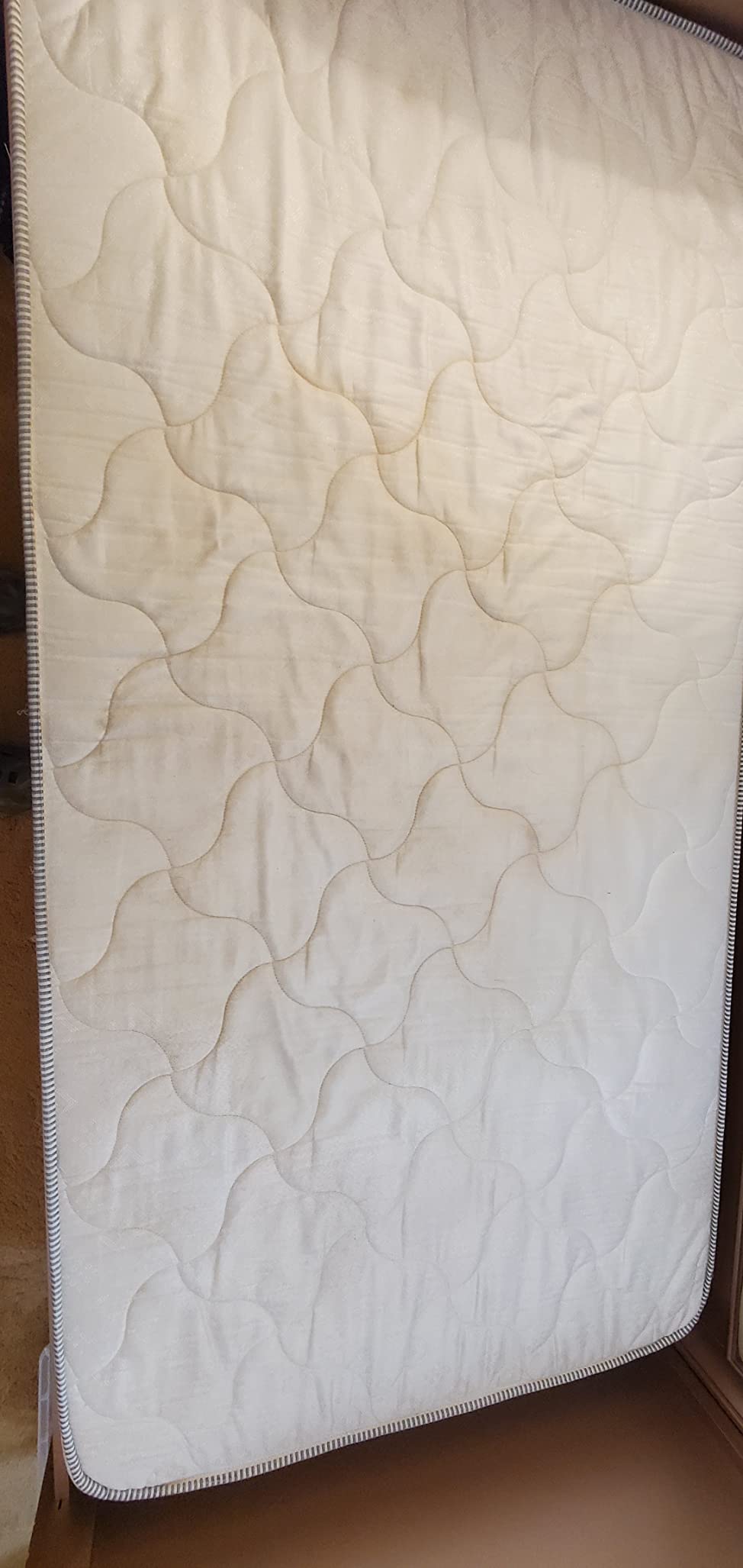 Mytee - Contractor's Special Heated Carpet Extractor customer photo 1