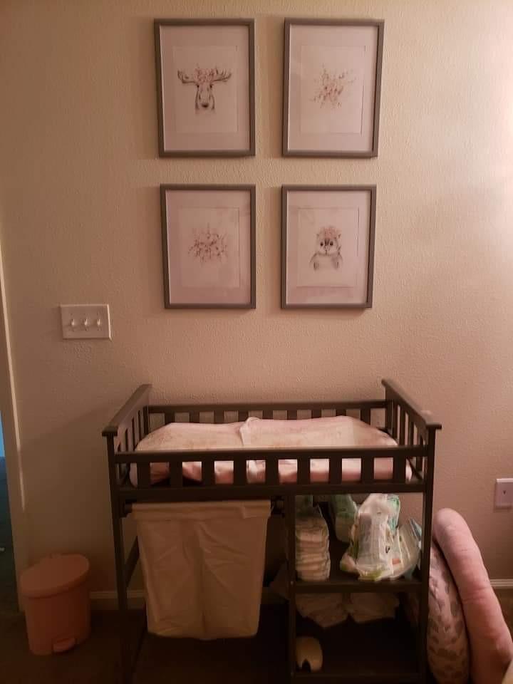 Sorelle Palisades 3-Piece Nursery Set with 4-in-1 Convertible Crib, 4-Drawer Dresser, Changing Table with Hamper, Baby Furniture Made of Wood, Non-Toxic Finish, Nursery Furniture Set - Grey customer photo 2