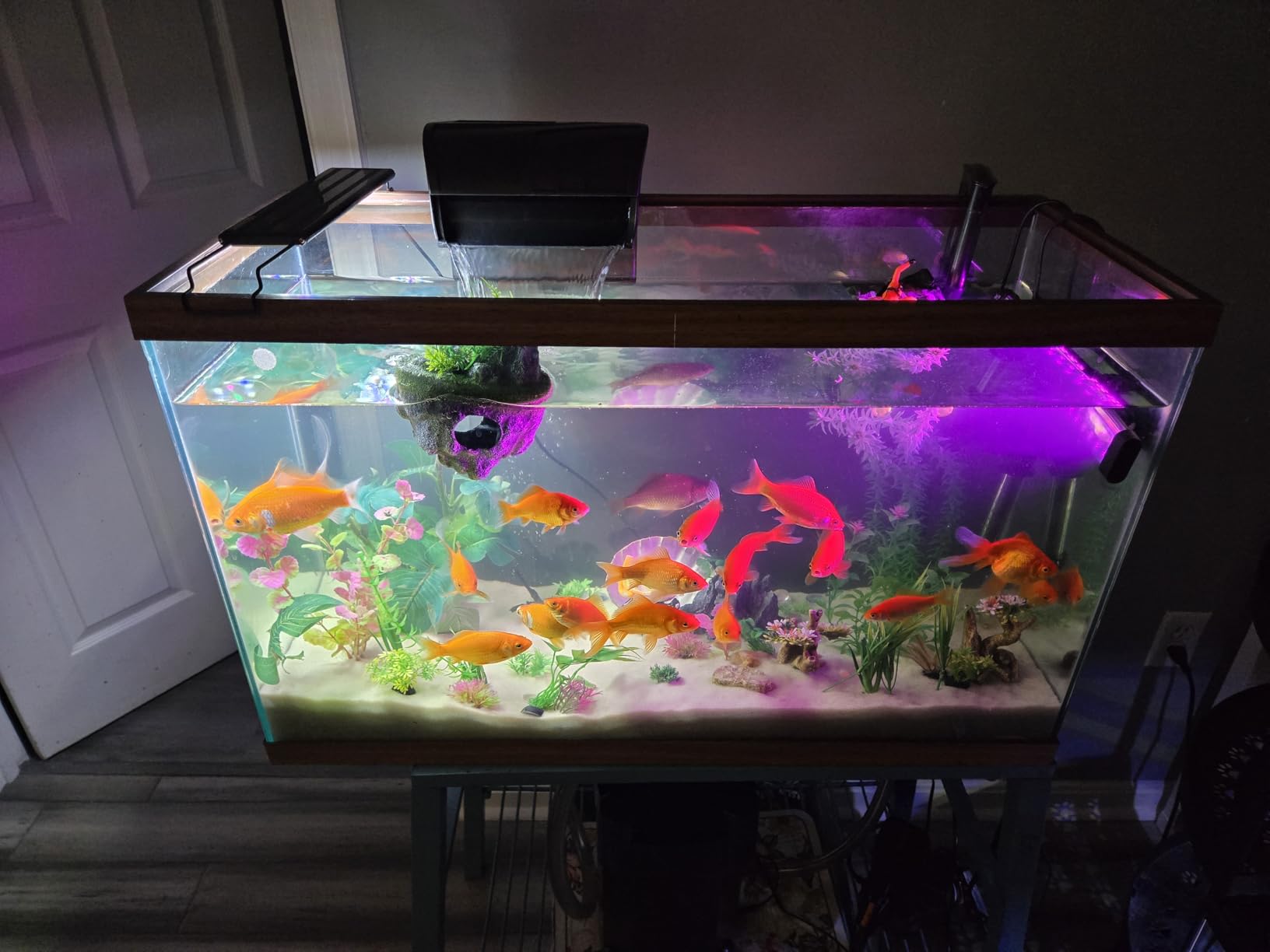 Aqueon QuietFlow Canister Aquarium Filter, Up to 55 Gallons customer photo 1