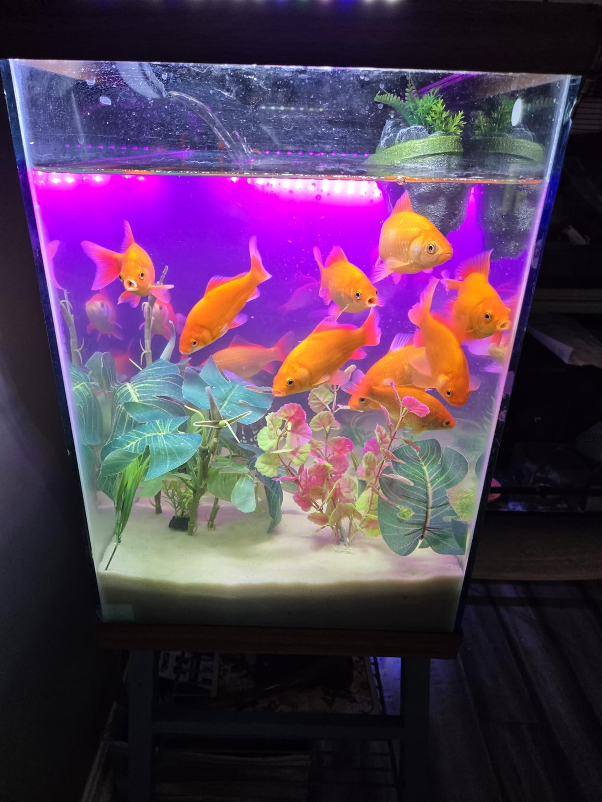 Aqueon QuietFlow Canister Aquarium Filter, Up to 55 Gallons customer photo 2