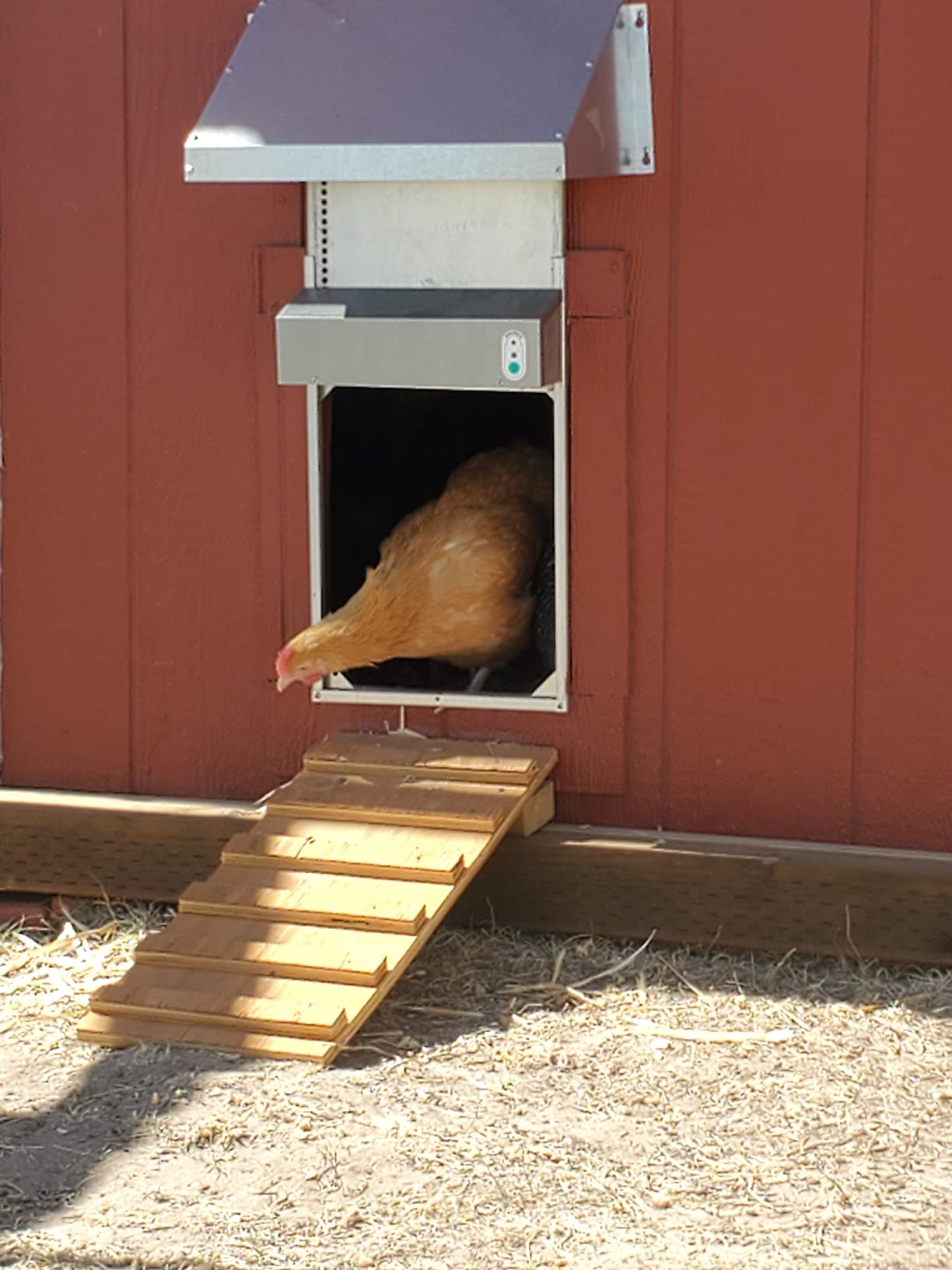 Automatic Chicken Coop Door Extra Large 13 x 10.5 Inch Opening, Heavy Duty Galvanized Steel, Predator Resistant, ADOR1 Made in USA customer photo 1