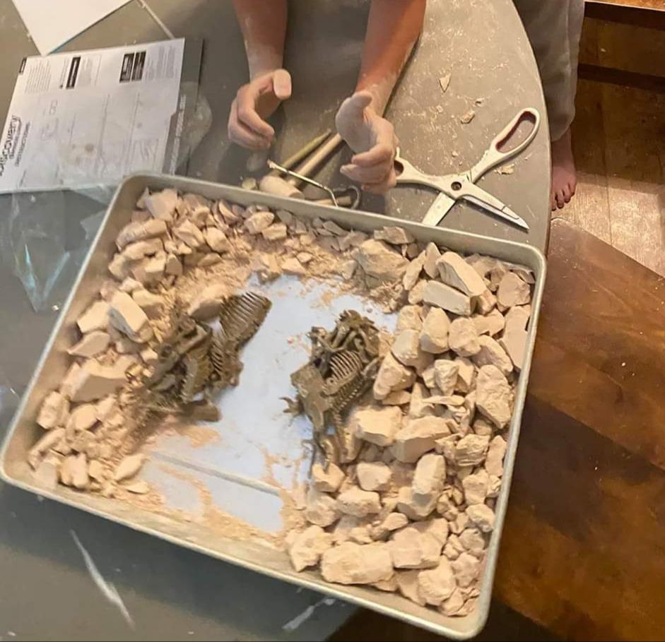 Discovery™ Dinosaur Fossil Dig Kit - Excavate & Assemble T-Rex & Velociraptor Skeletons| 3D Dino Bones Puzzles| Jurassic Paleontology Toy for Kids| STEM Science Activity Set| Girls & Boys Gift Ages 6+ customer photo 2