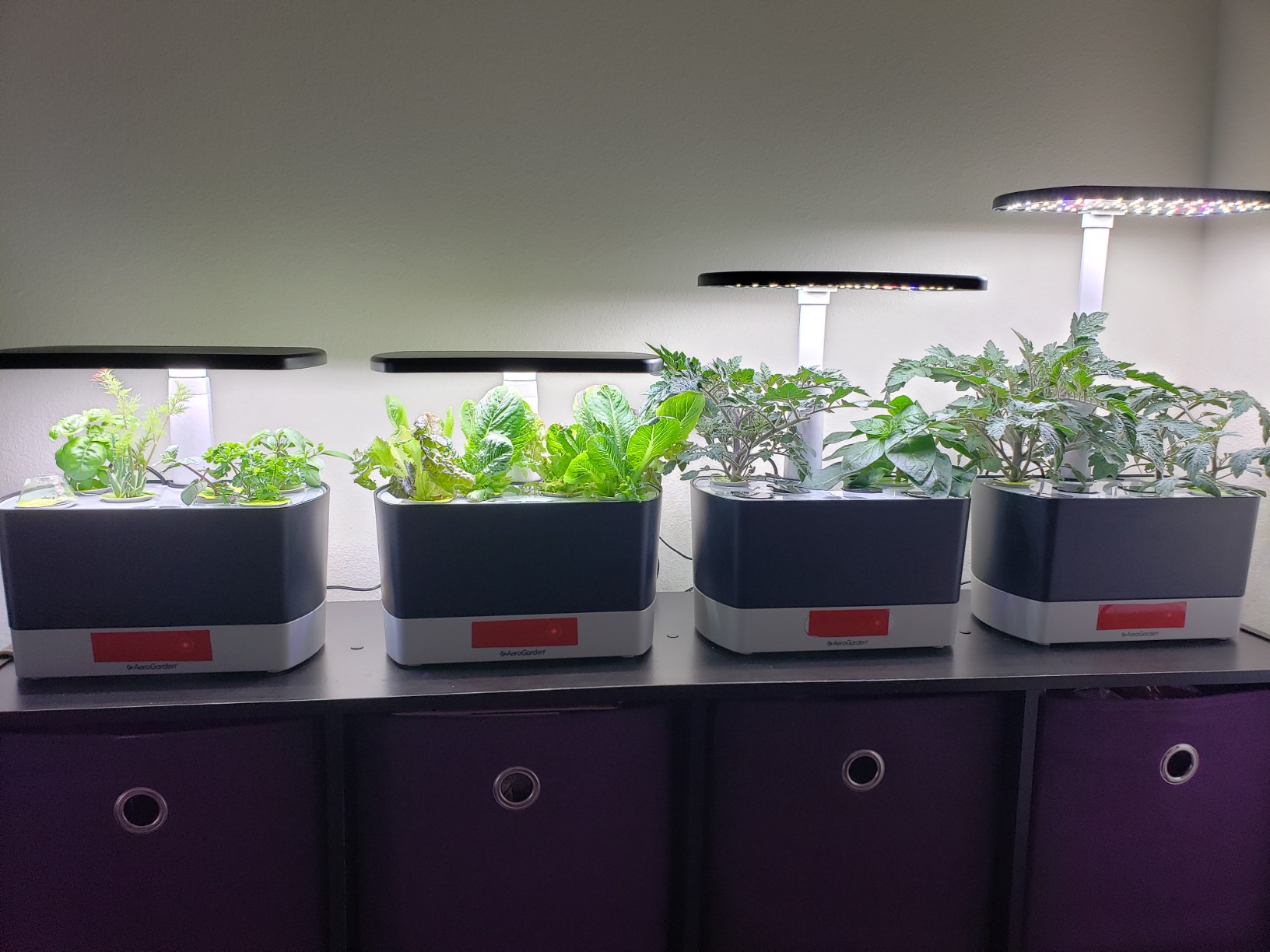AeroGarden Harvest Indoor Garden Hydroponic System with LED Grow Light and Herb Kit, Holds up to 6 Pods, White customer photo 1
