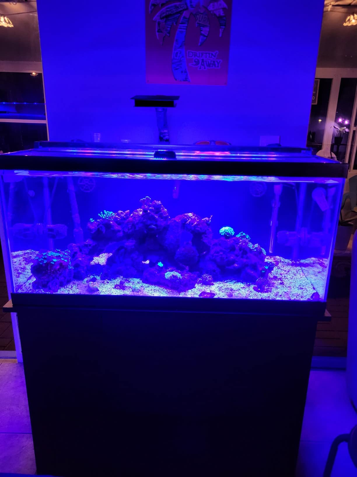 Fluval SEA Marine Nano LED Aquarium Lighting with Bluetooth, 20 Watts customer photo 2