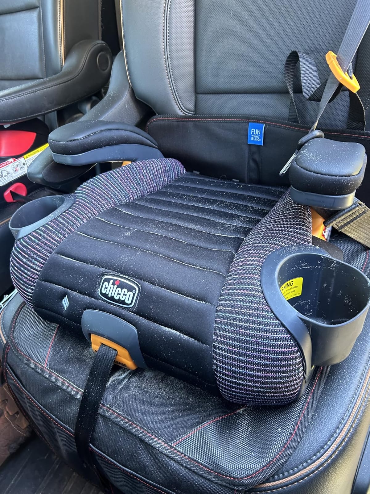 funbliss Car Seat Protector for Child Car Seat | Auto Seat Cover Mat, Thickest Padding, Protects Leather & Fabric Upholstery, PVC Leather Reinforced Corners customer photo 1