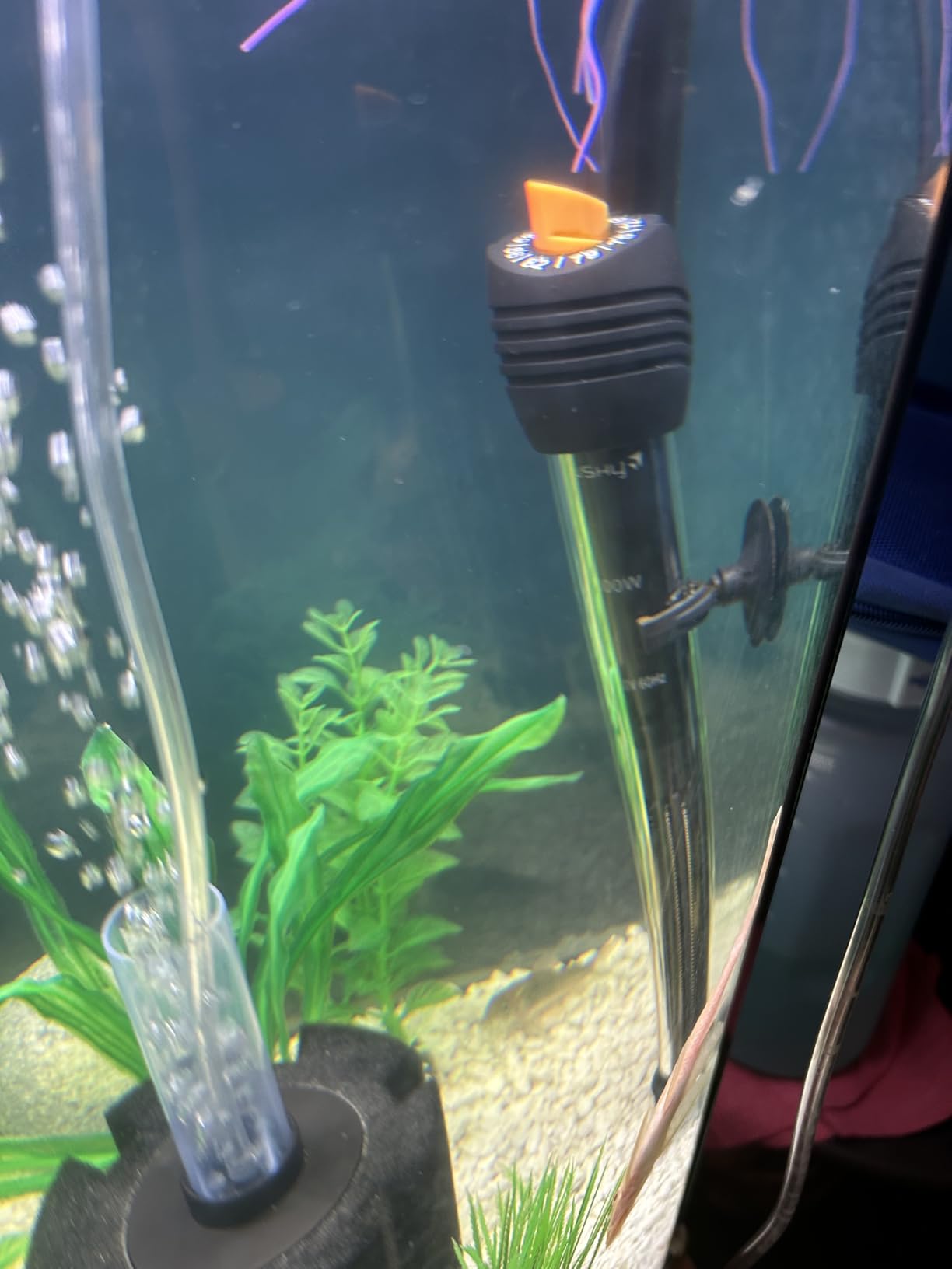 Orlushy Submersible Aquarium Heater, Adjustable Fish Tank Heater with Free Thermometer Suitable for Marine Saltwater and Freshwater customer photo 1