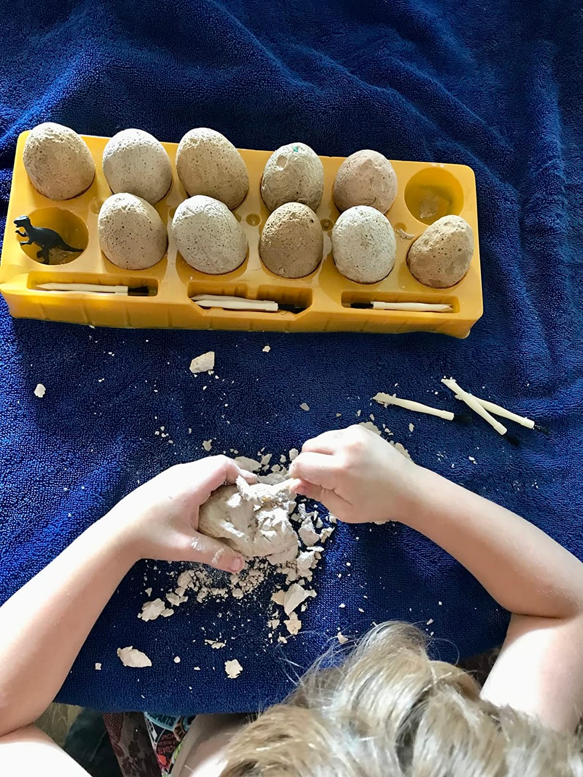 Dig a Dozen Dino Egg Kit for Kids - 12 Eggs & Surprise Dinosaurs | Dinosaur Toys Gift 3-12 Year Old - Science STEM Activities - Boy Toy Party Gifts for Boys & Girls - Basket Stuffers customer photo 1