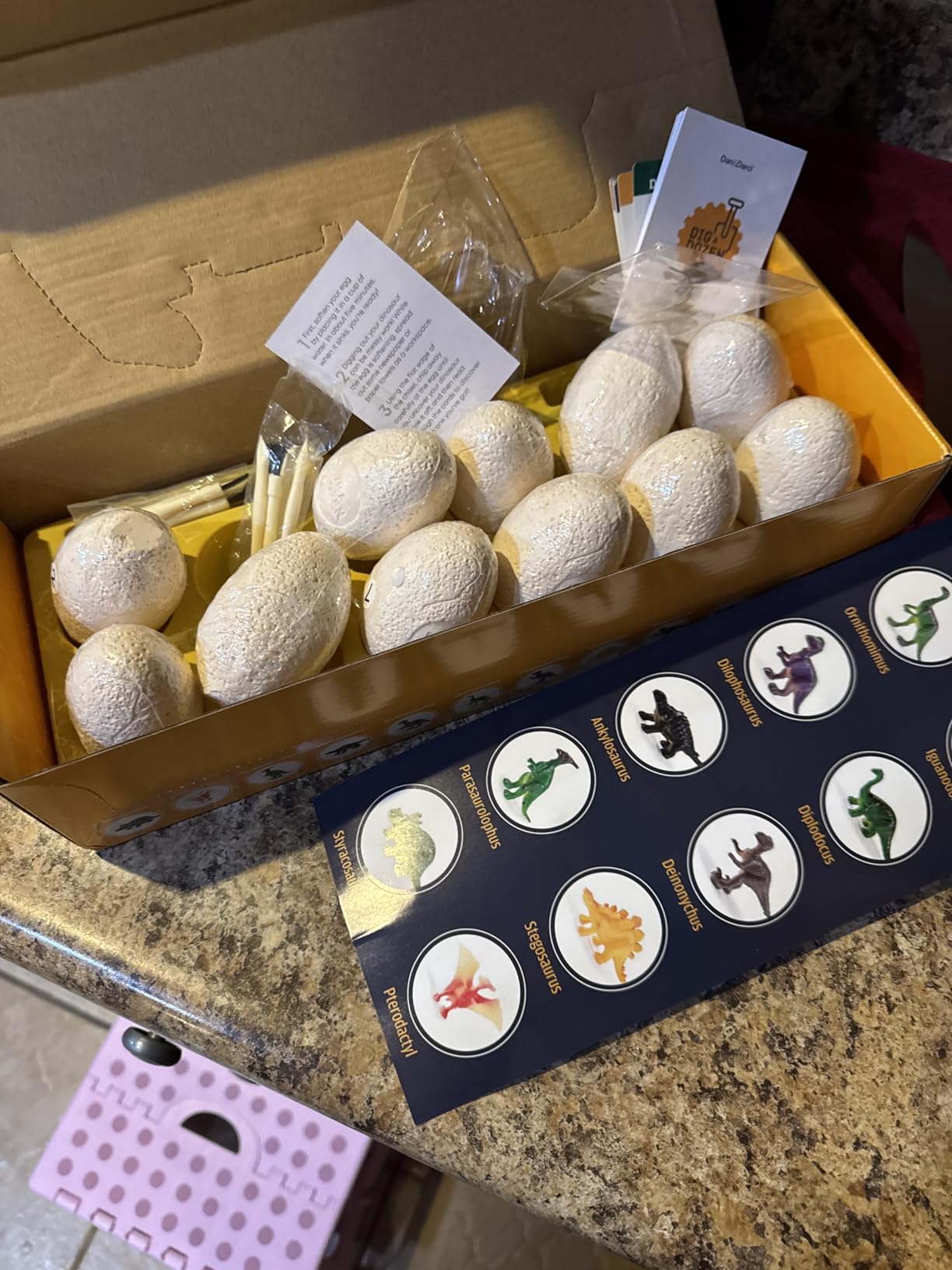 Dig a Dozen Dino Egg Kit for Kids - 12 Eggs & Surprise Dinosaurs | Dinosaur Toys Gift 3-12 Year Old - Science STEM Activities - Boy Toy Party Gifts for Boys & Girls - Basket Stuffers customer photo 2