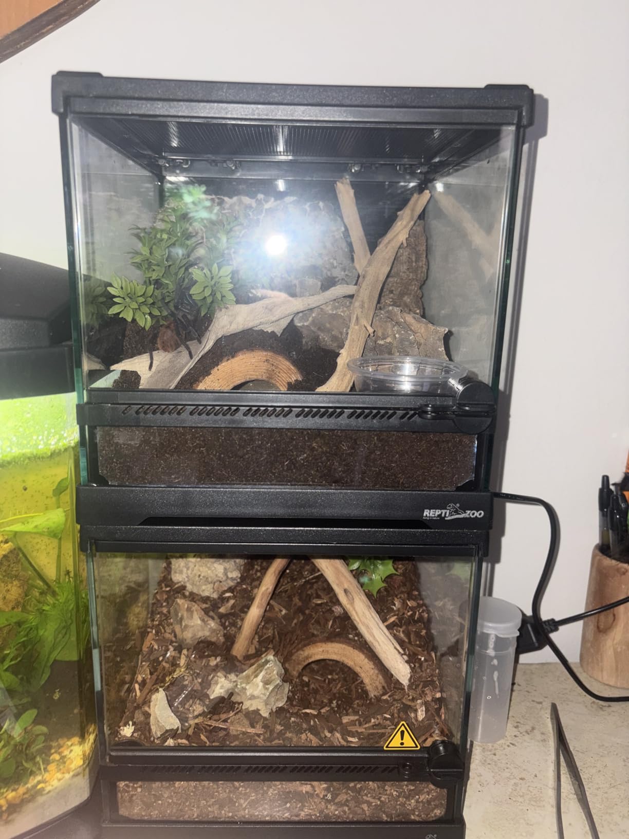 REPTI ZOO Mini Reptile Glass Terrarium, Front Opening Door Full View Visually Appealing Mini Reptile or Amphibians Glass Habitat customer photo 1