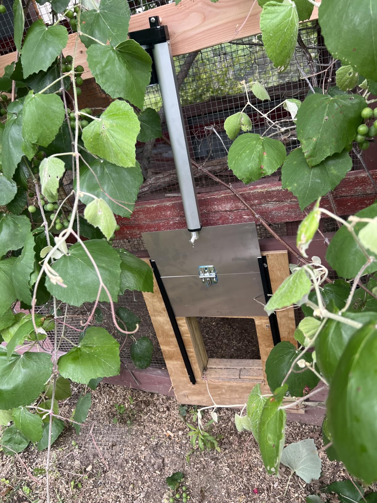 JVR Automatic Chicken Coop Door, Programmable Timer, Anti-Pinch, Aluminum | Heavy-duty aluminum door with industrial screw-rod actuator, anti-pinch sensor, and 11 x 12 in opening; timer schedule only customer photo 2