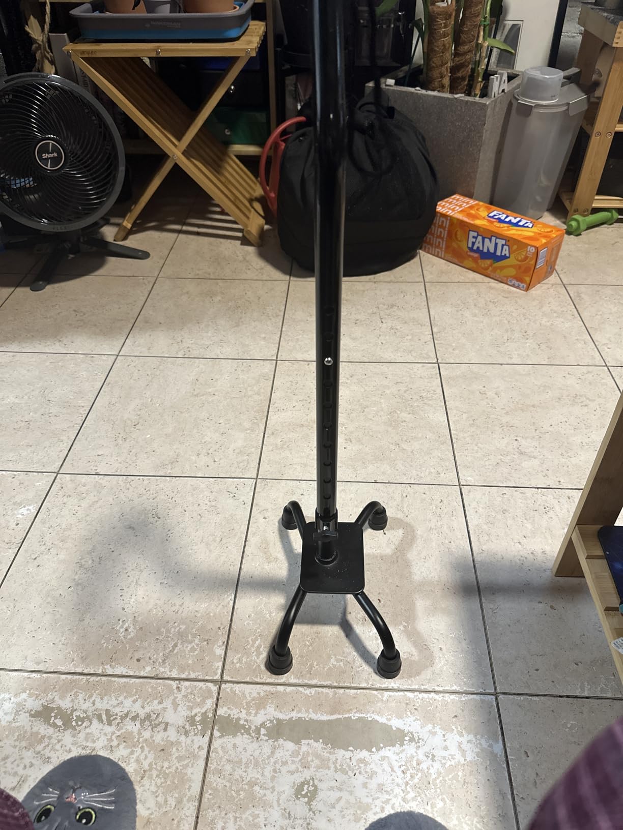 RMS Quad Cane - Adjustable Walking Cane with A Large Four-Pronged Base for Extra Stability - Foam Padded Offset Handle for Secure & Comfort Grip - Works for Right or Left Handed Men or Women customer photo 1
