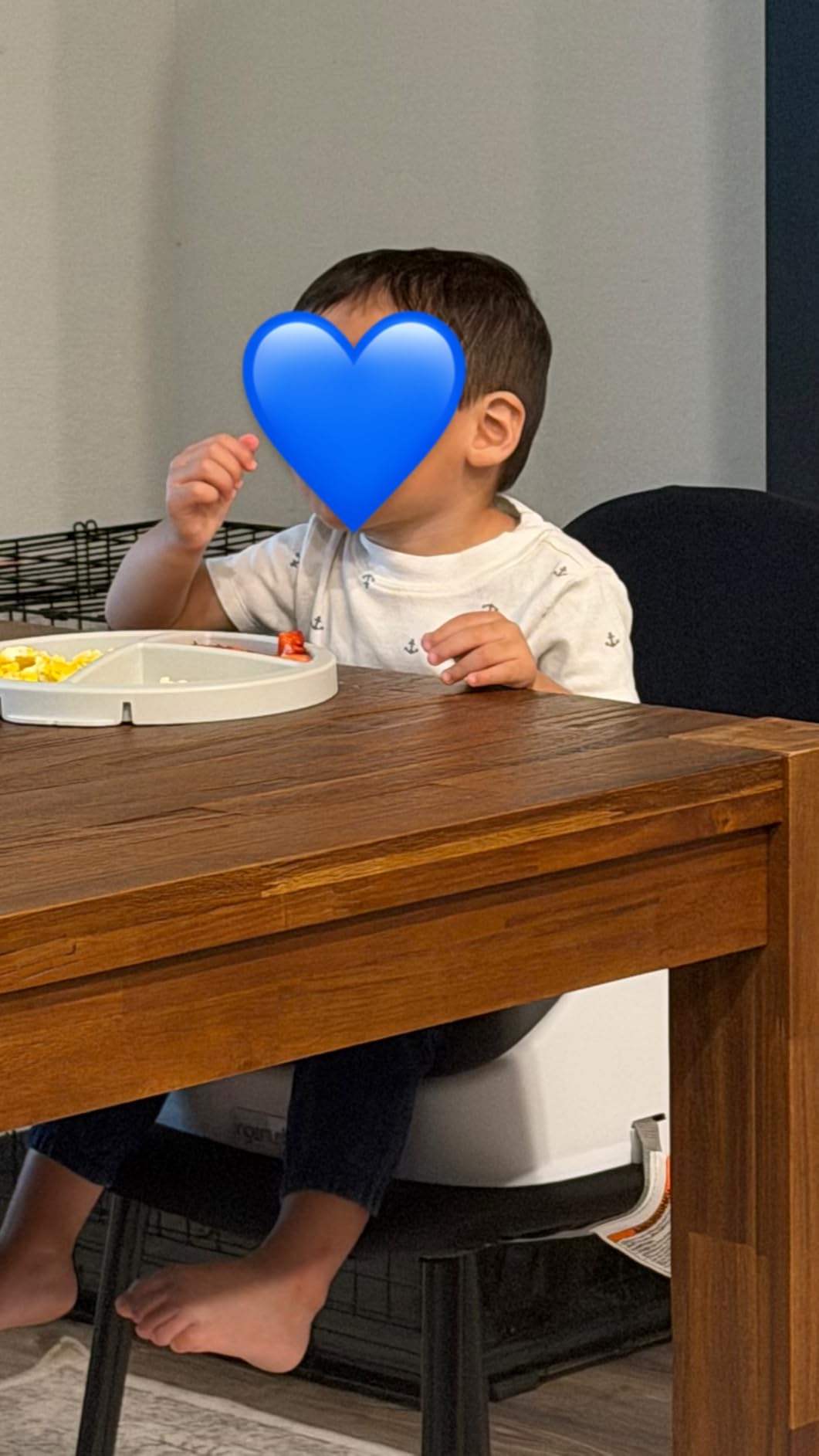 Ingenuity SmartClean Toddler Booster Seat for Kitchen Chair - Lightweight for on-the-go, Easy-Clean, 3-Point Harness Strap - Booster Seat for Dining Table, Slate customer photo 1
