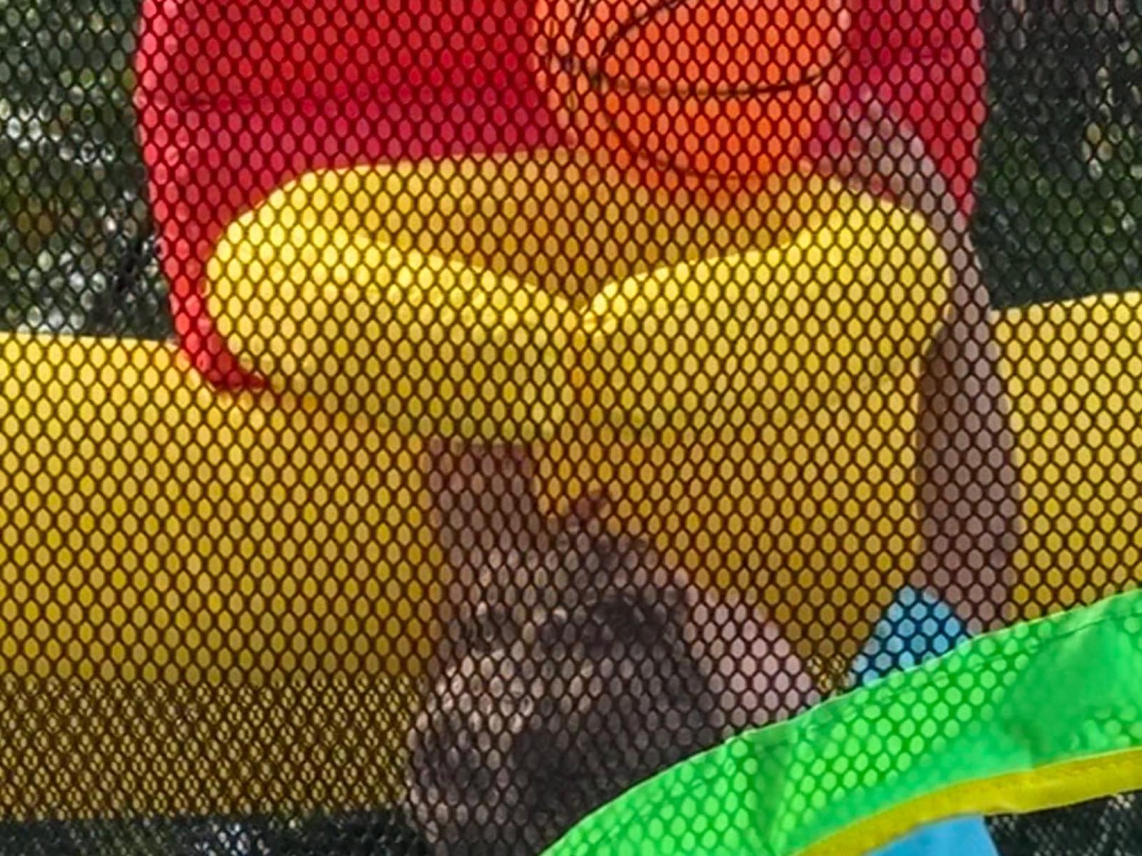 WELLFUNTIME Inflatable Bounce House, Jumping Castle Slide with Blower, Kids Bouncer with Ball Pit | Ball Pit, Basketball Hoop, Soccer Goal, Dart Target, Jumping Castle for Ages 3-10, Backyard Outdoor, 145.5x120x85 Inch customer photo 2