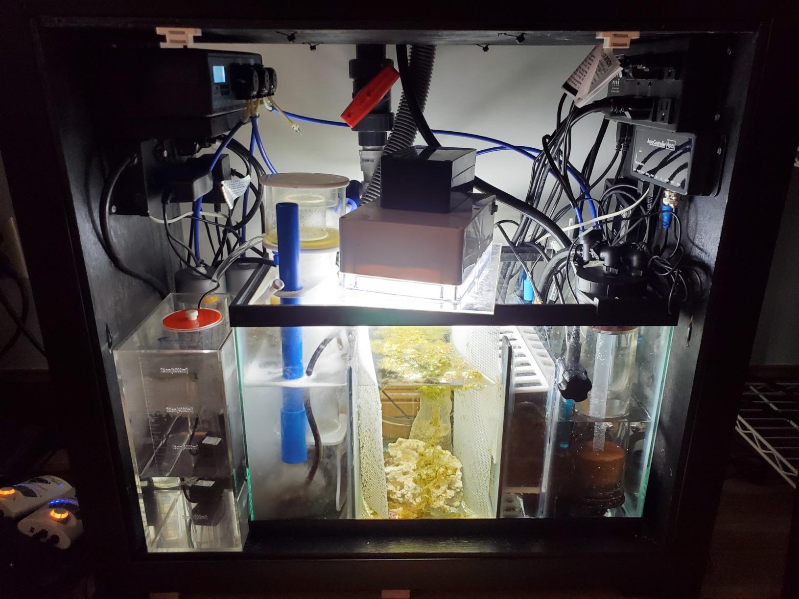 Refugium Sump Baffle Kit (10 Gallon Standard) customer photo 1
