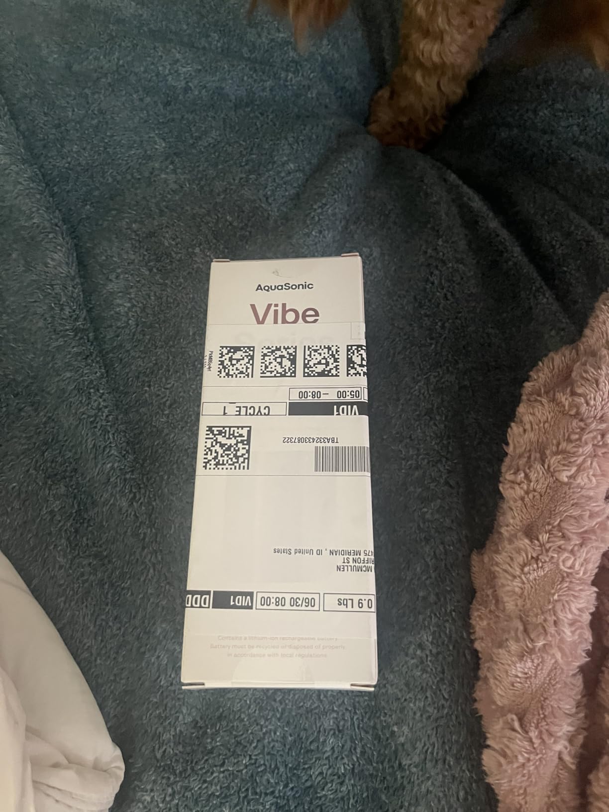 Aquasonic Vibe Series Ultra-Whitening Toothbrush - ADA Accepted Electric Toothbrush - 8 Brush Heads & Travel Case - 40,000 VPM Motor & Wireless Charging - 4 Modes w Smart Timer - Satin Rose Gold customer photo 1