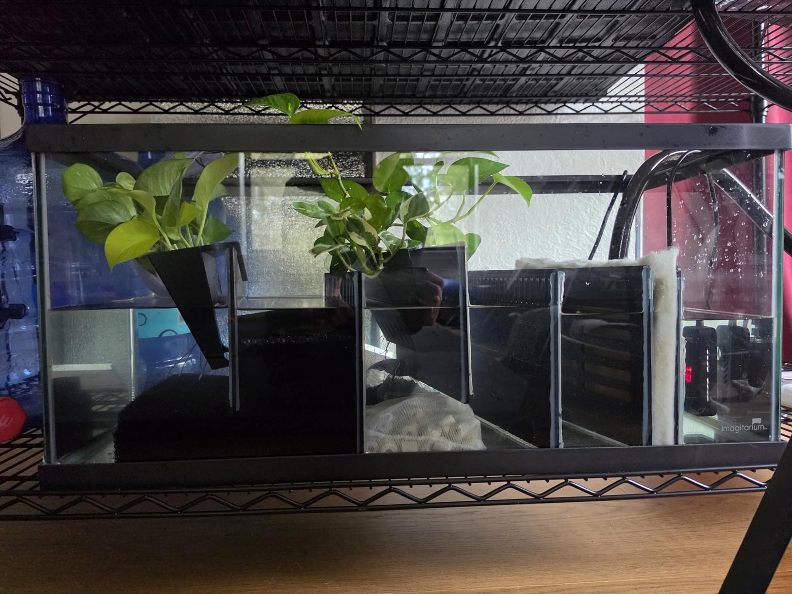 Aquarium Sump Refugium DIY Kit for Protein Skimmer Sump - Chamber dividers (10 Gallon) customer photo 1