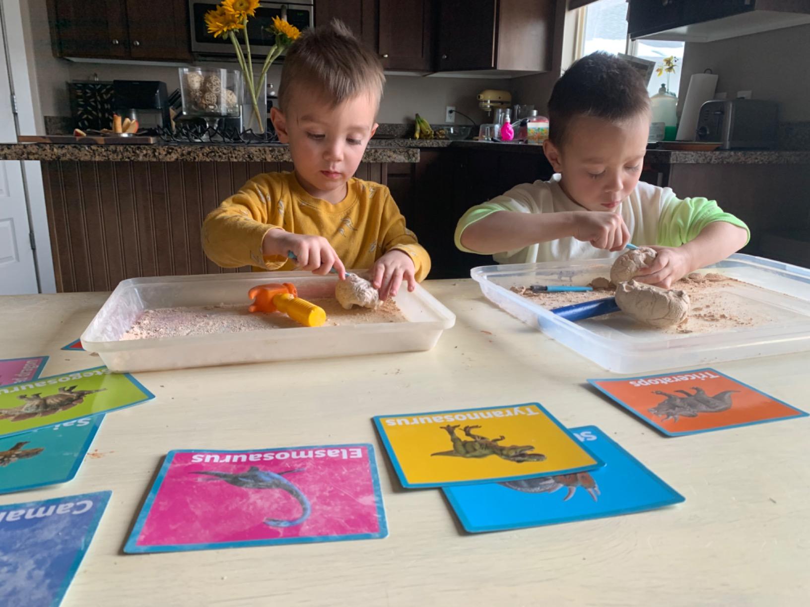 Dig Up Dinosaur Fossil Eggs, Easter Digging Toy for Kids 3-5 6-12 | Break Open 12 Unique Eggs and Discover 12 Cute Dinosaurs, Archaeology Science STEM Gift for 3 4 5 6 7 8 9-12 Year Old Boys customer photo 1