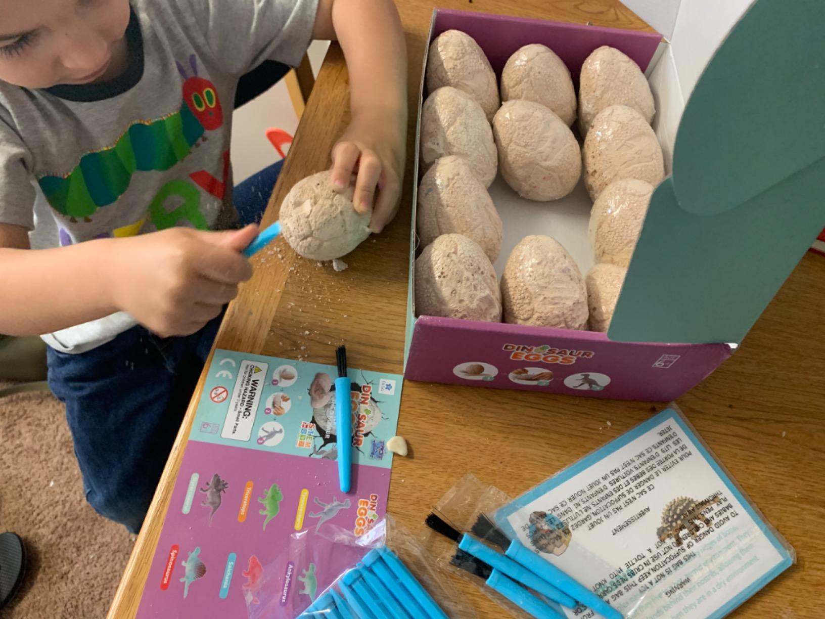 Dig Up Dinosaur Fossil Eggs, Easter Digging Toy for Kids 3-5 6-12 | Break Open 12 Unique Eggs and Discover 12 Cute Dinosaurs, Archaeology Science STEM Gift for 3 4 5 6 7 8 9-12 Year Old Boys customer photo 2