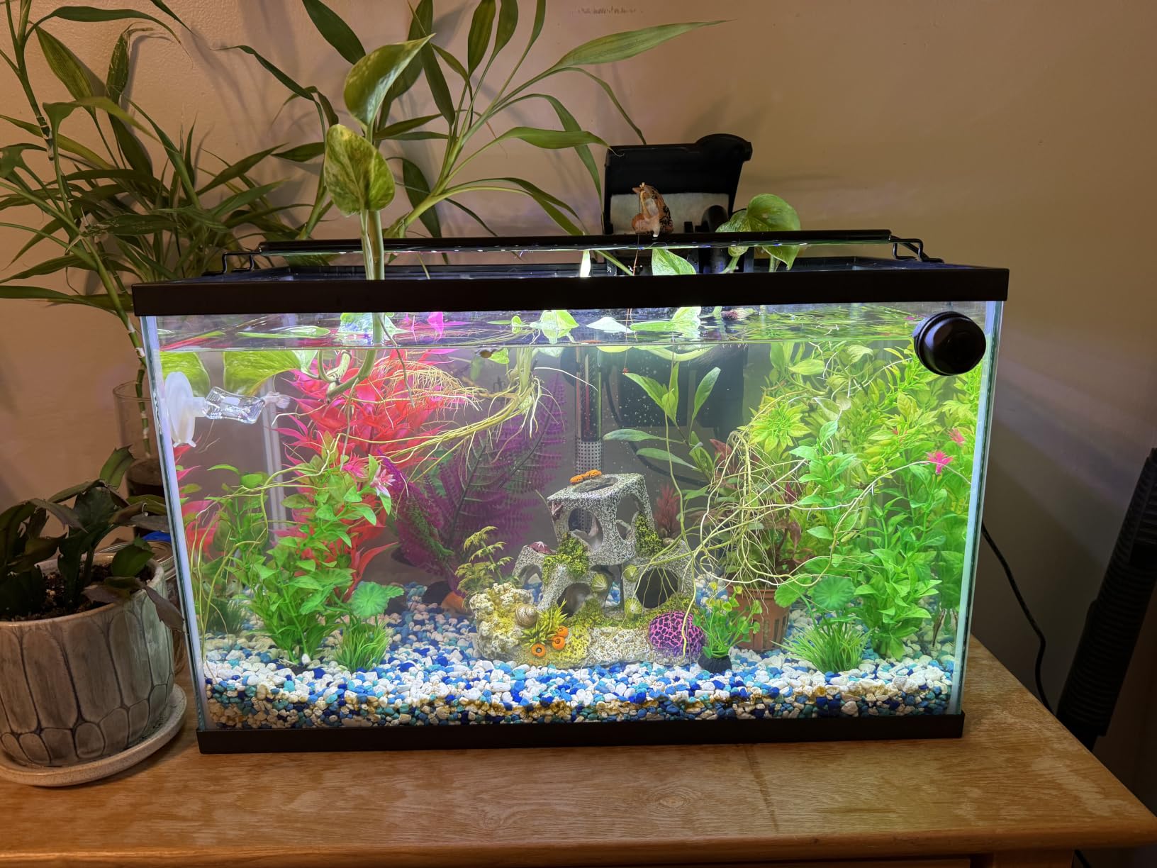 AQUANEAT LED Aquarium Light Full Spectrum 17 Inch Light Body with Extendable Brackets for 18 Inch to 24 Inch Fish Tank Light Fresh Water customer photo 1