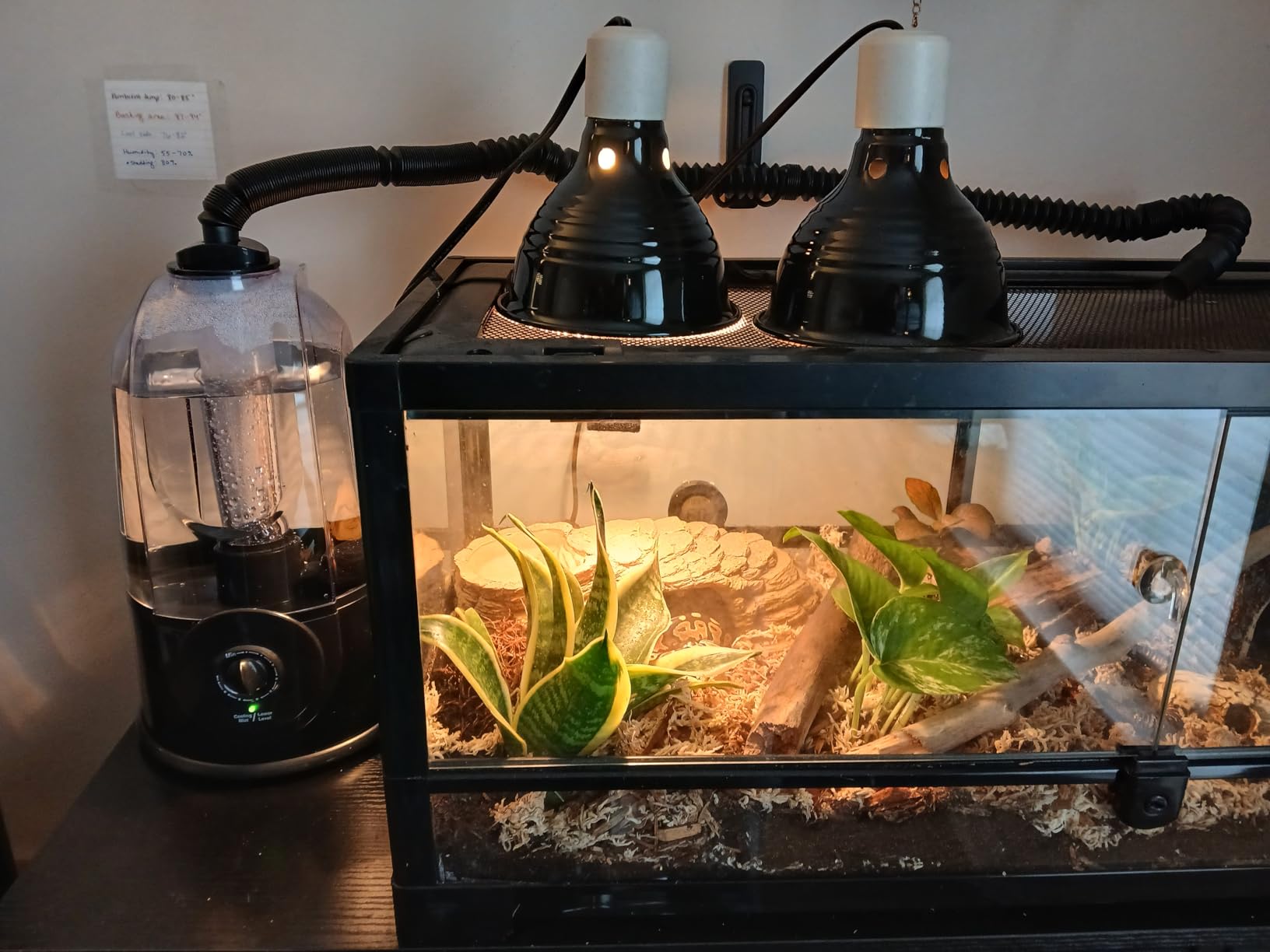 Coospider 3.8L Reptile Fogger Mister, Quiet Reptile Humidifier for Reptiles Tank, Terrarium Humidifiers with Extended Tube, Automatic Reptile Misting System for Reptiles Amphibians Herps Vivarium customer photo 2