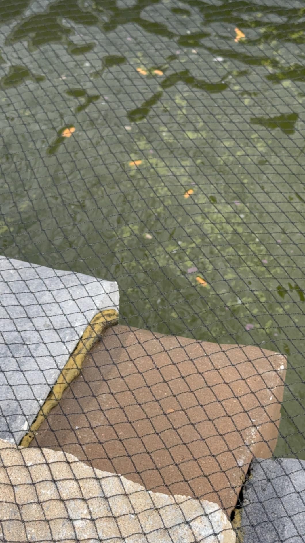 VIVOHOME Pressurized Biological Pond Filter with 13-watt Light, 1580 GPH Suitable for Koi Ponds up to 800 Gallons or Ornamental Ponds up to 1600 Gallons customer photo 1