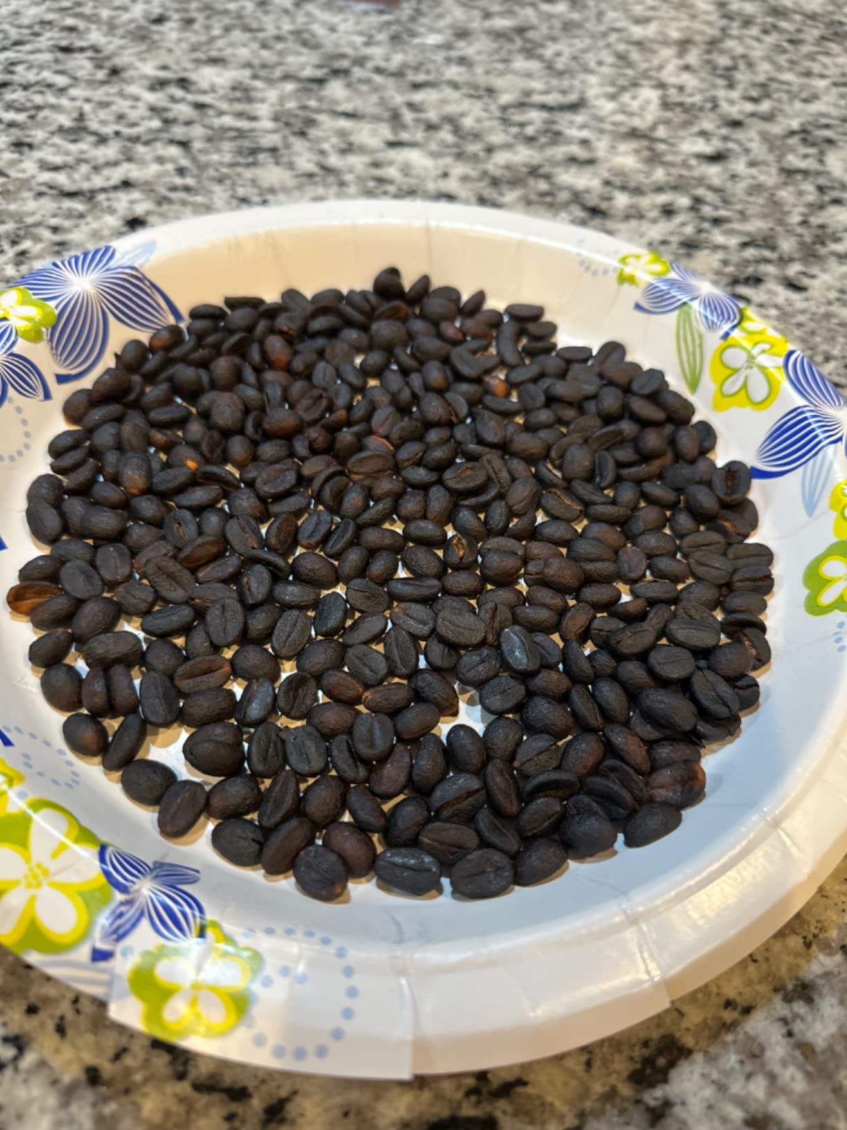 Coffee Roaster Machine for Home Use, 800g Capacity Electric Coffee Bean Roaster Machine with Timer 0-240℃ Non-Stick for Cafe Shop, Nut, Peanut, Black Bean, Soybeans 110V 1200W customer photo 2