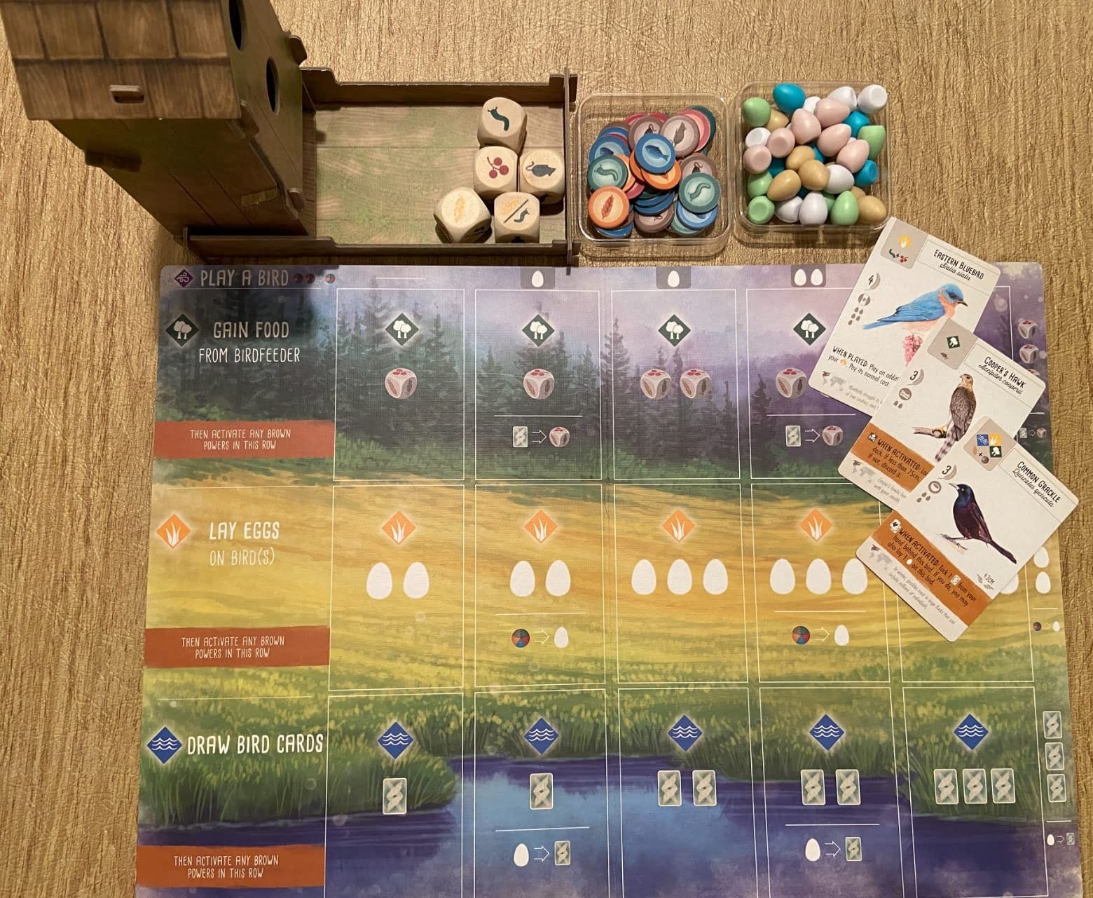 Stonemaier Games: Wingspan by Elizabeth Hargrave customer photo 2