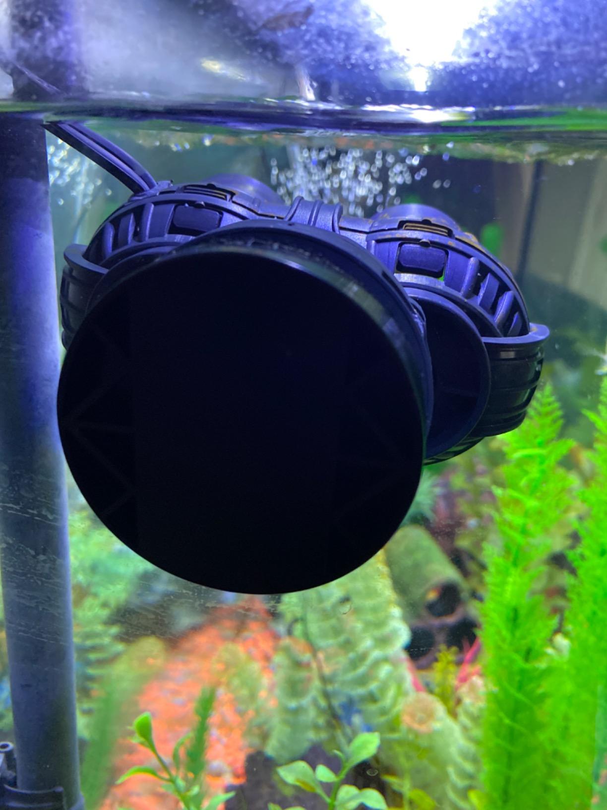 FREESEA Magnetic Wave Maker for Aquarium: 1s Snap on 15mm Glass & Dry-Hand Relocation - Dual 180 Adjustable Heads Eliminate Dead Spots Improve Water Quality for 55-125 Gallon Fish Tank customer photo 1