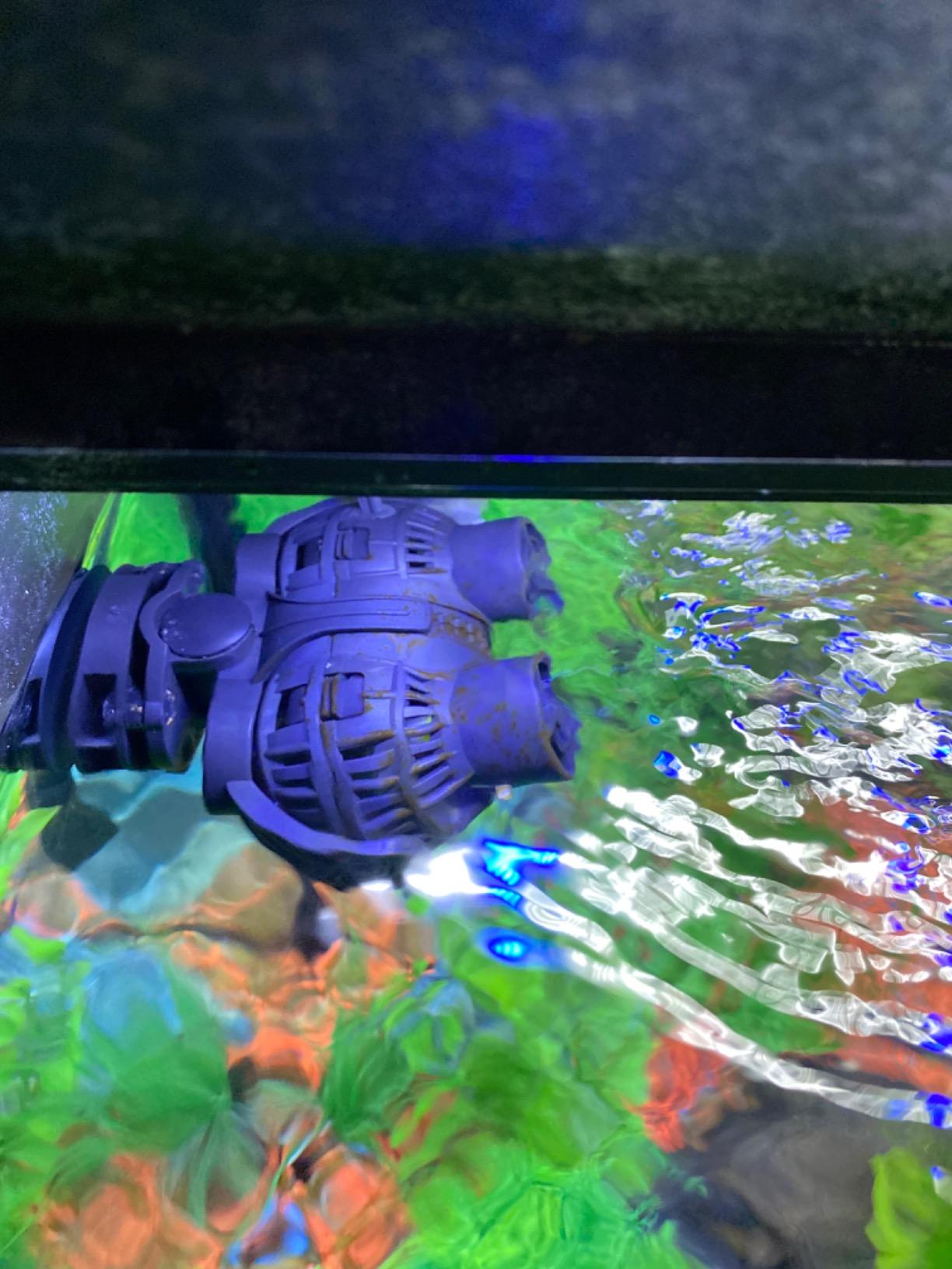 FREESEA Magnetic Wave Maker for Aquarium: 1s Snap on 15mm Glass & Dry-Hand Relocation - Dual 180 Adjustable Heads Eliminate Dead Spots Improve Water Quality for 55-125 Gallon Fish Tank customer photo 2