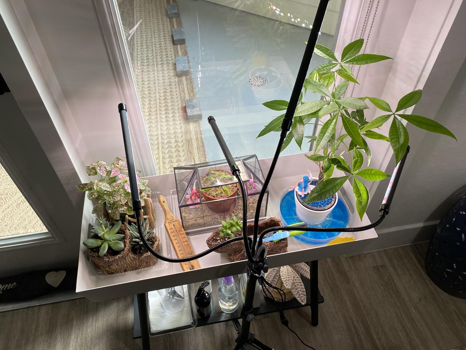 GHodec Grow Light Free Standing, 5500K Full Spectrum Gooseneck LED Lamp | Floor Plant Light for Indoor Plants Growing, 5 Dimmable Levels & Auto On/Off Timer, Height Adjustable customer photo 1