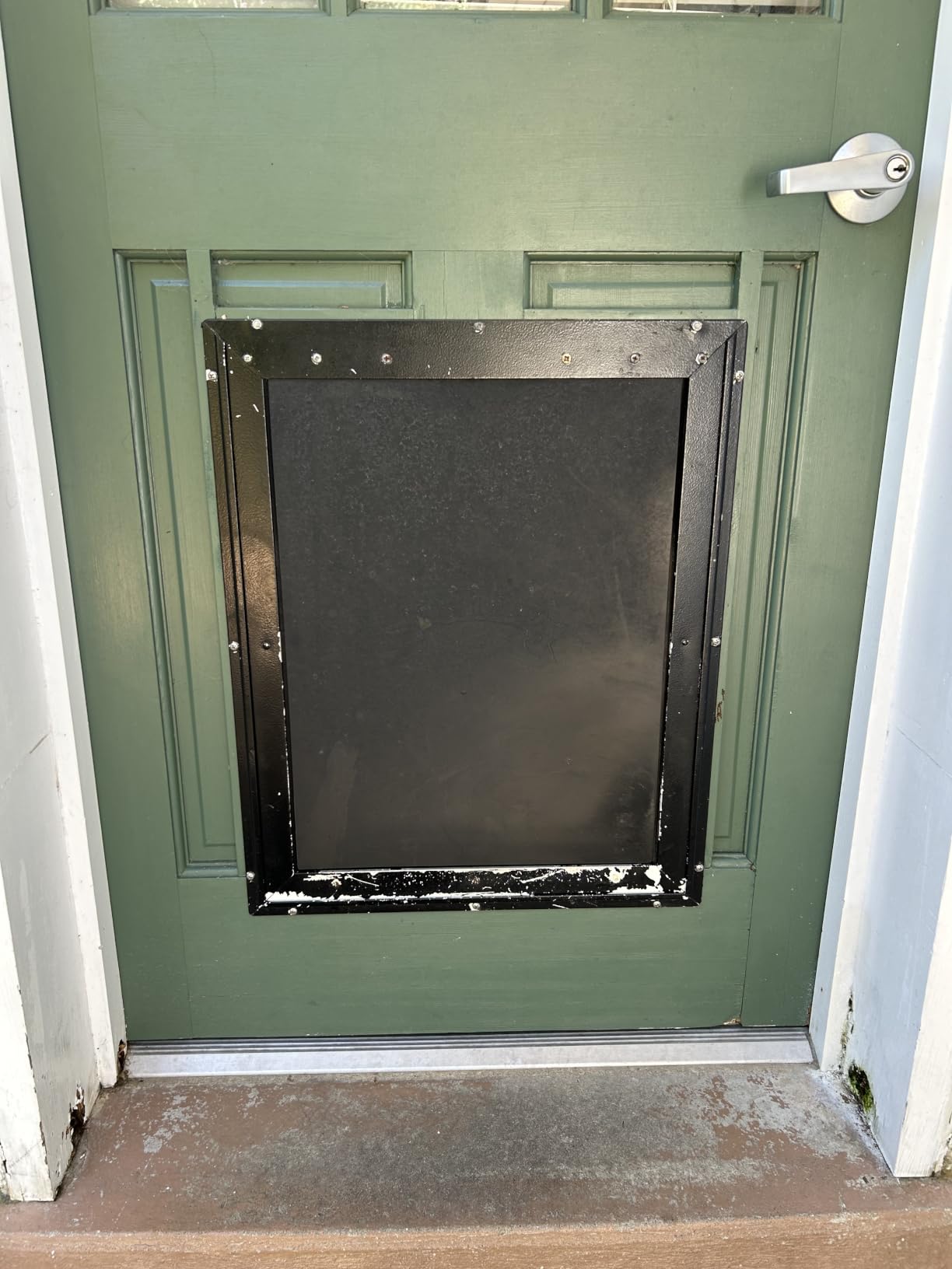 PetSafe Extreme Weather Aluminum Dog Door, 3-Flap Insulated, Large | Energy-Efficient, Blocks 3x More Thermal Loss, Reinforced Aluminum Frame, Magnetic Seal on Flap customer photo 2