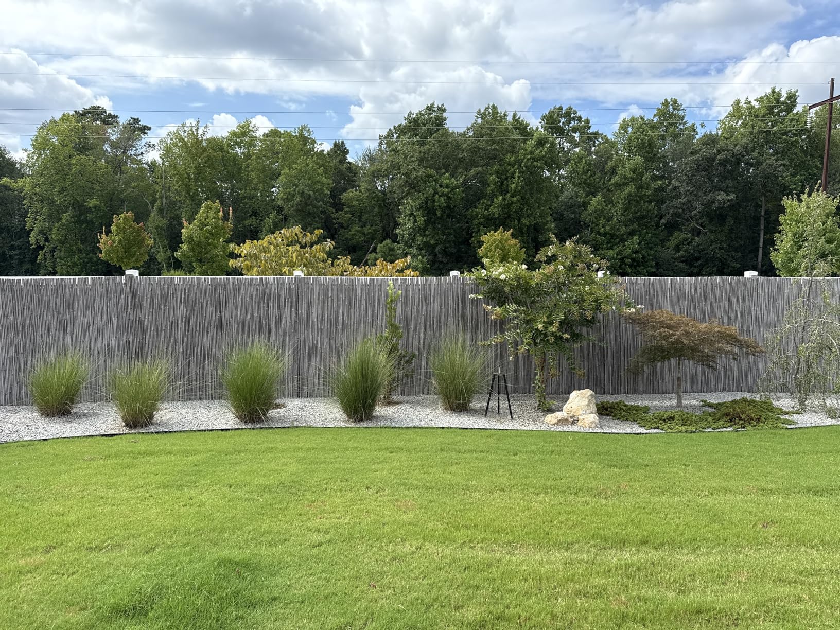 Natural Rolled Bamboo Fence, Eco-Friendly Bamboo Fencing, 0.7 in D x 6 feet High x 8 feet Long, Bamboo Screen for Garden, Privacy customer photo 1