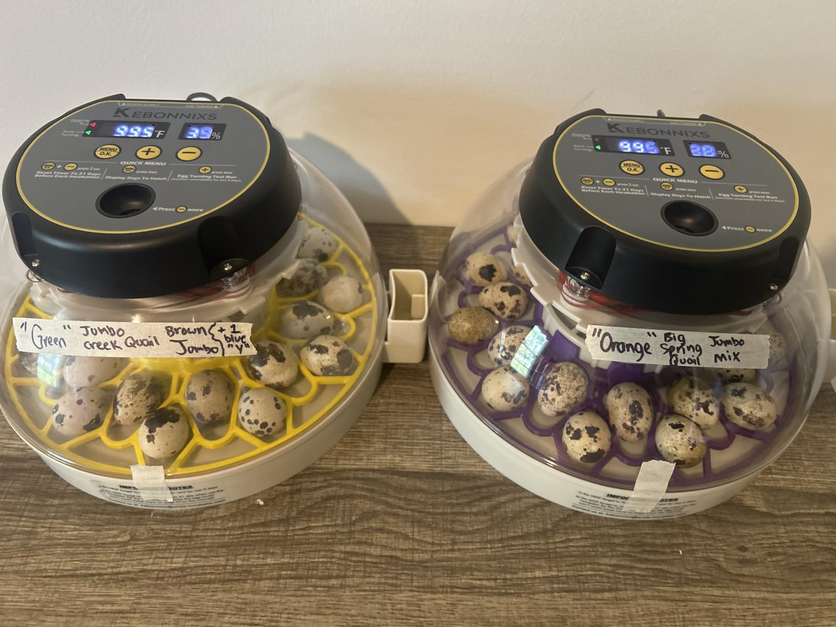 KEBONNIXS 12 Egg Incubator with Humidity Display, Egg Candler, Automatic Egg Turner, for Hatching Chickens customer photo 1