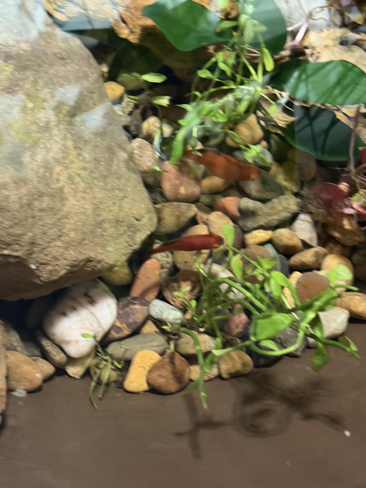 Aquascape AquaGarden Container Water Feature Kit - Indoor & Outdoor Mini Pond with Waterfall Fountain, Pump & Filtration for Home & Patio, Brown customer photo 2