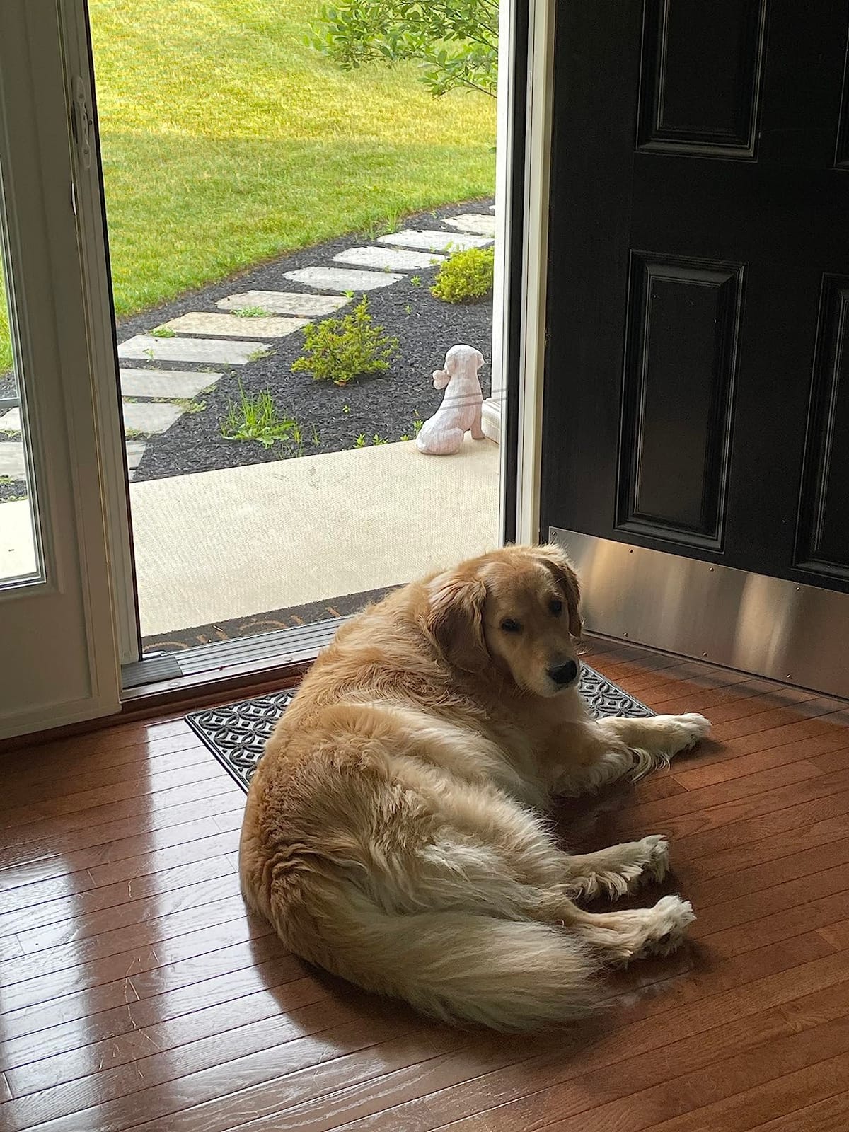 Genius Cool Retractable Screen Doors for Single Door, Standard Width Height | Width (32 in to 36 in) x Height 80 in, Brown, Roll Away Retractable Screen Doors for Front Door and More, Easy Install customer photo 2