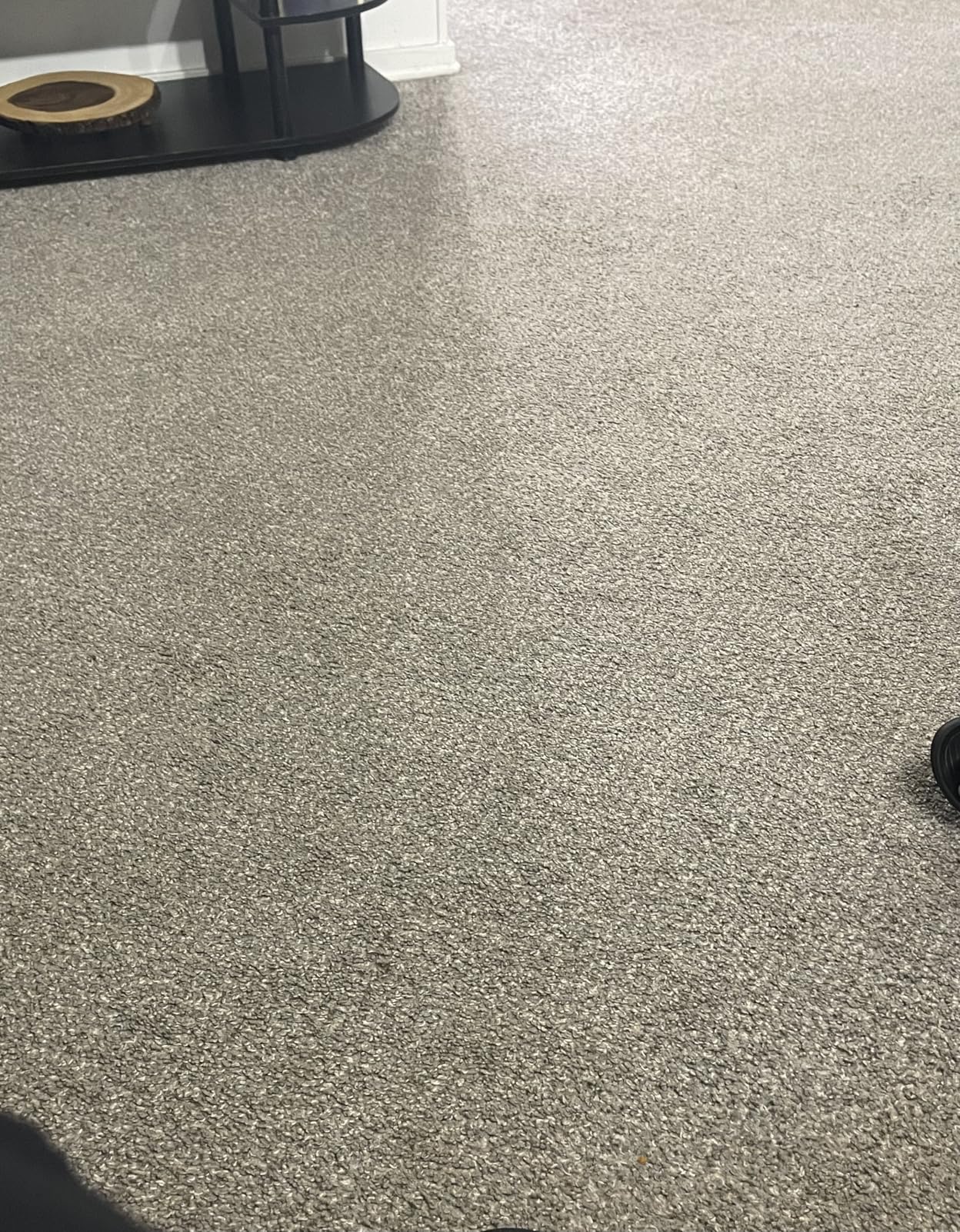 Rug Doctor Mighty Pro X3 Commercial Carpet Cleaner with Oxy Cleaner Pack customer photo 1