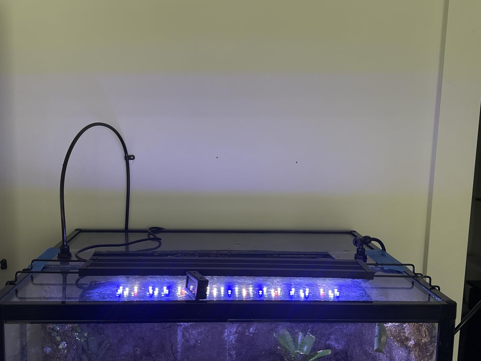 MistKing Starter Misting System, 5th Gen | Used by Zoos, Botanical Gardens, Institutions & Hobbyists | Expandable to 10 Nozzles | Extremely Fine Mist | 50 Micron Droplets customer photo 2