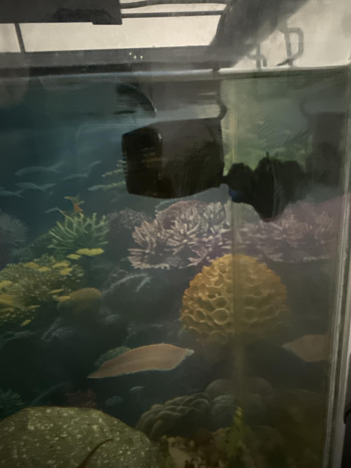 AQUANEAT Circulation Pump, 800GPH Aquarium Wave Maker, Fish Tank Powerhead Submersible Water Pump with Suction Cup customer photo 1