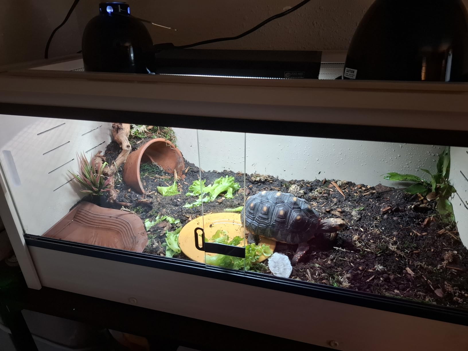 New Age Pet ECOFLEX 24