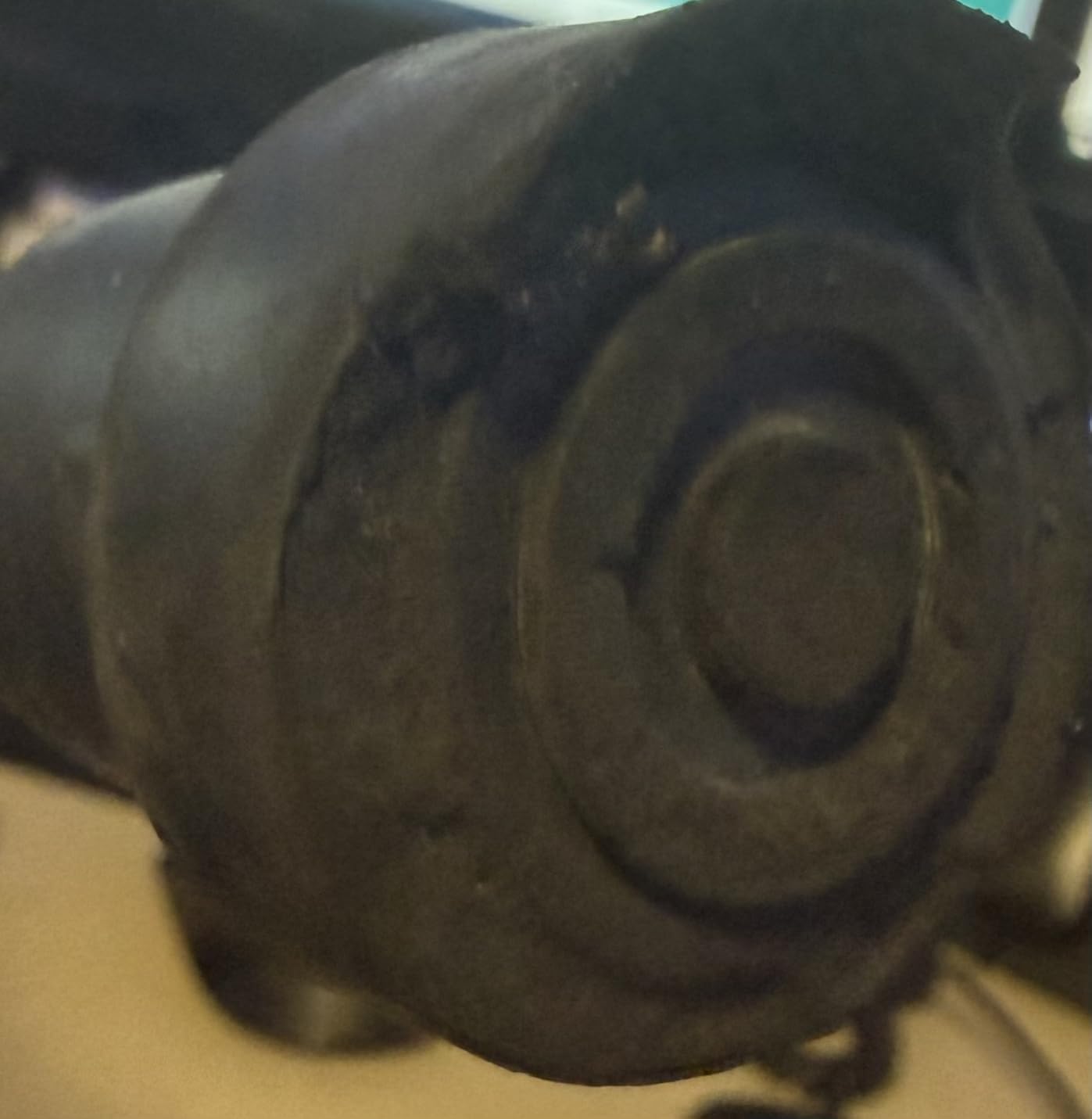 Replacement Cane Tips, 3/4 Inch, Black customer photo 1