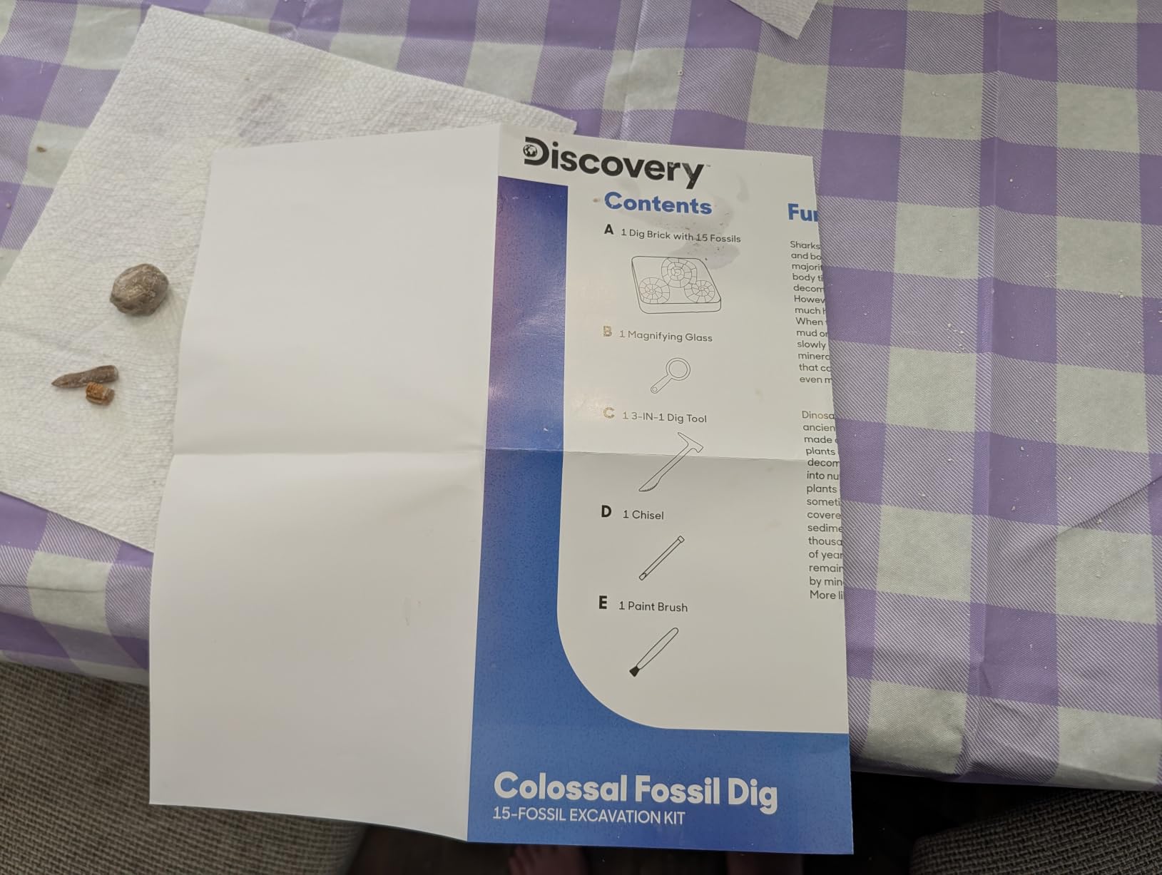 Discovery Colossal Fossil Dig Set, 15-Piece Archeology Excavation Kit, Uncover Real Shark Teeth and More, STEM Toys for Boys and Girls customer photo 1