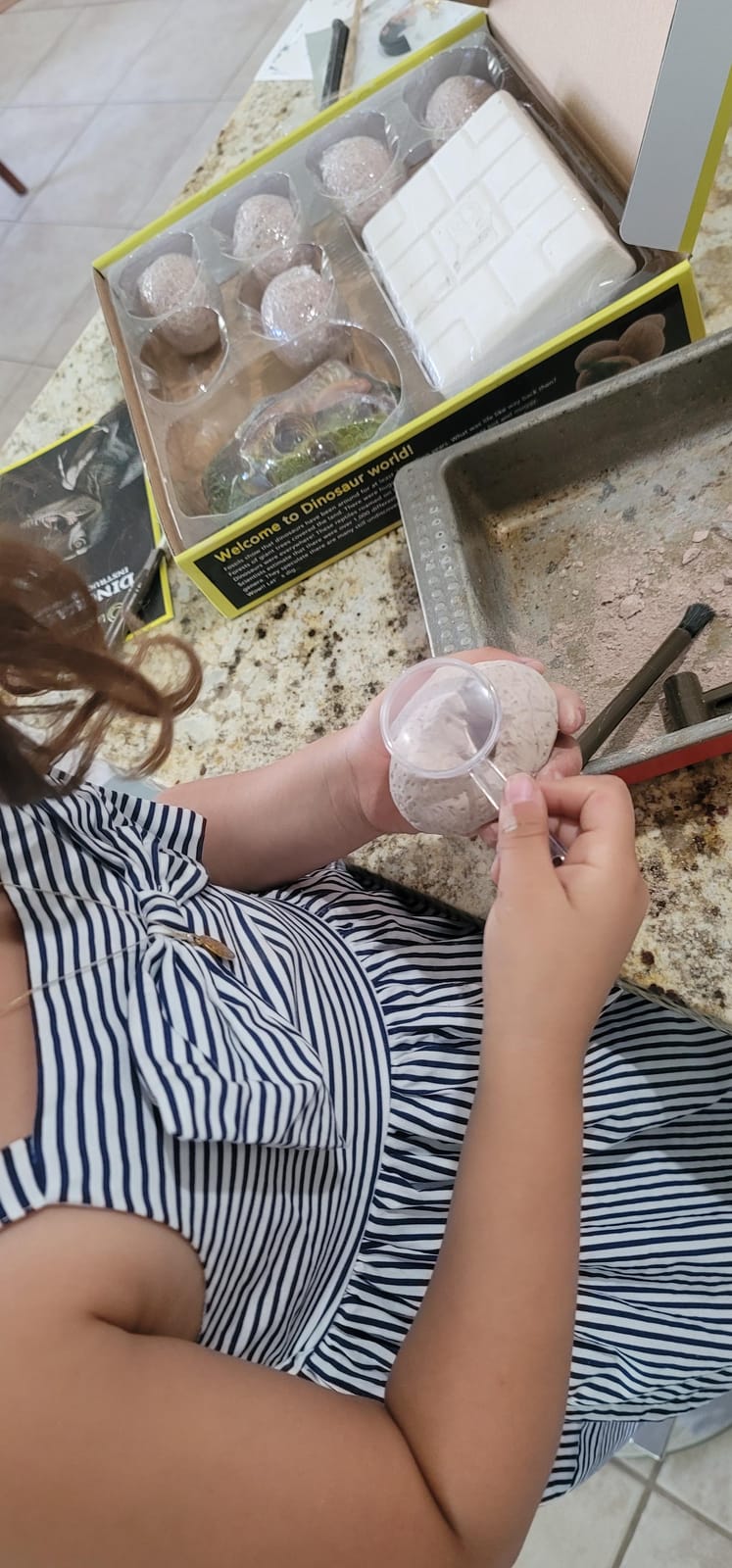 Dinosaur Fossil Digging Kit for Kids, Eggs Excavation Dig Kit, Toys for Kids 5-7 8-12, Great Birthday for Boys and Girls customer photo 2