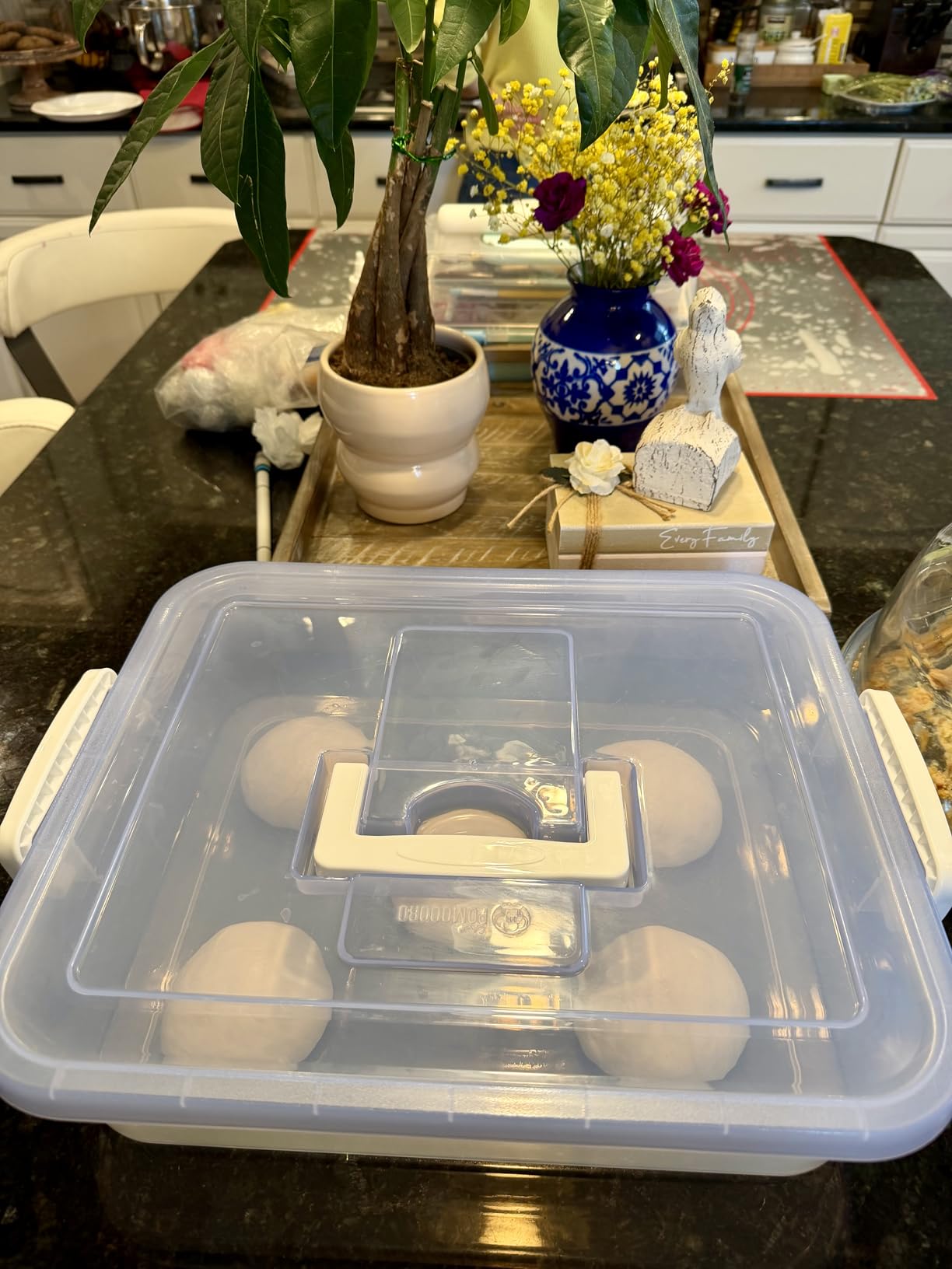 Chef Pomodoro Pizza Dough Proofing Box with Lid, 14x11 In, Blue customer photo 1
