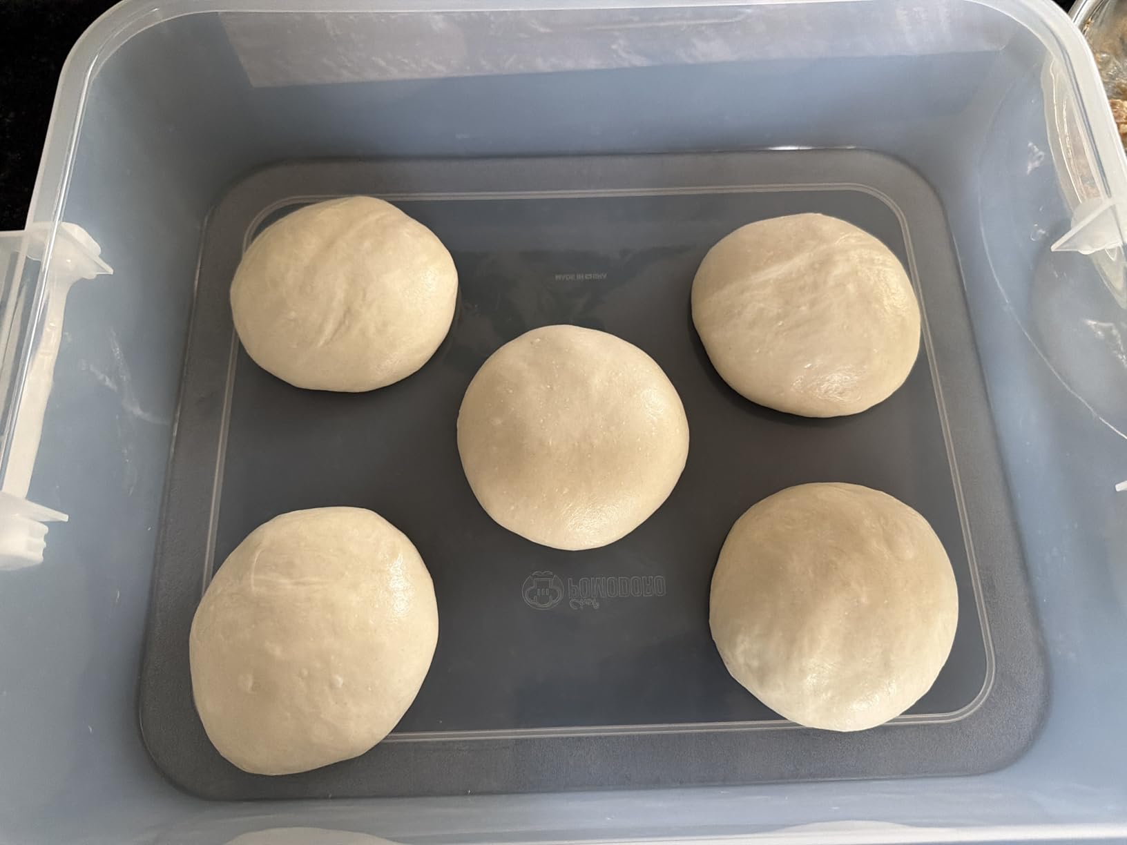 Chef Pomodoro Pizza Dough Proofing Box with Lid, 14x11 In, Blue customer photo 2
