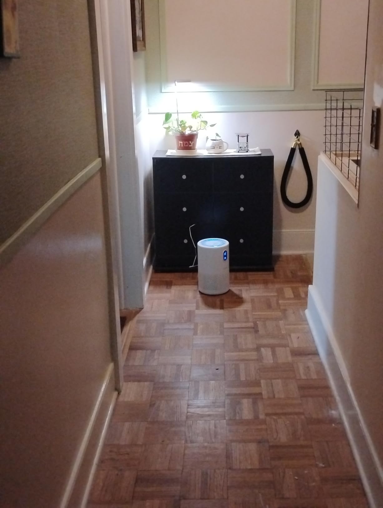 MOOKA Air Purifiers for Home Large Room up to 1076ft², H13 True HEPA Air Filter Cleaner, Odor Eliminator, Remove Smoke Dust Pollen Pet Dander, Night Light, B-D02L White customer photo 2