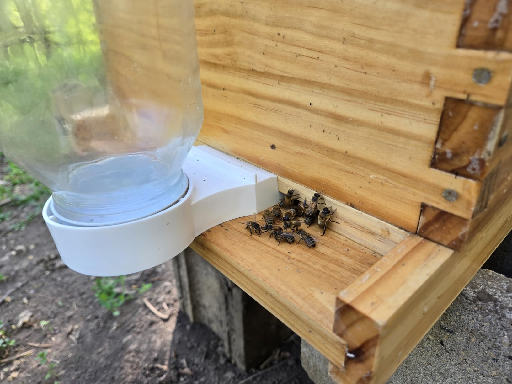 Beehive Starter Kit 8-Frame Bee Boxes and Frames Beehive Kit Wax Coated Bee Hives and Supplies Starter Kit Including Beekeeping Tools Kit with Beekeeping Veil customer photo 1