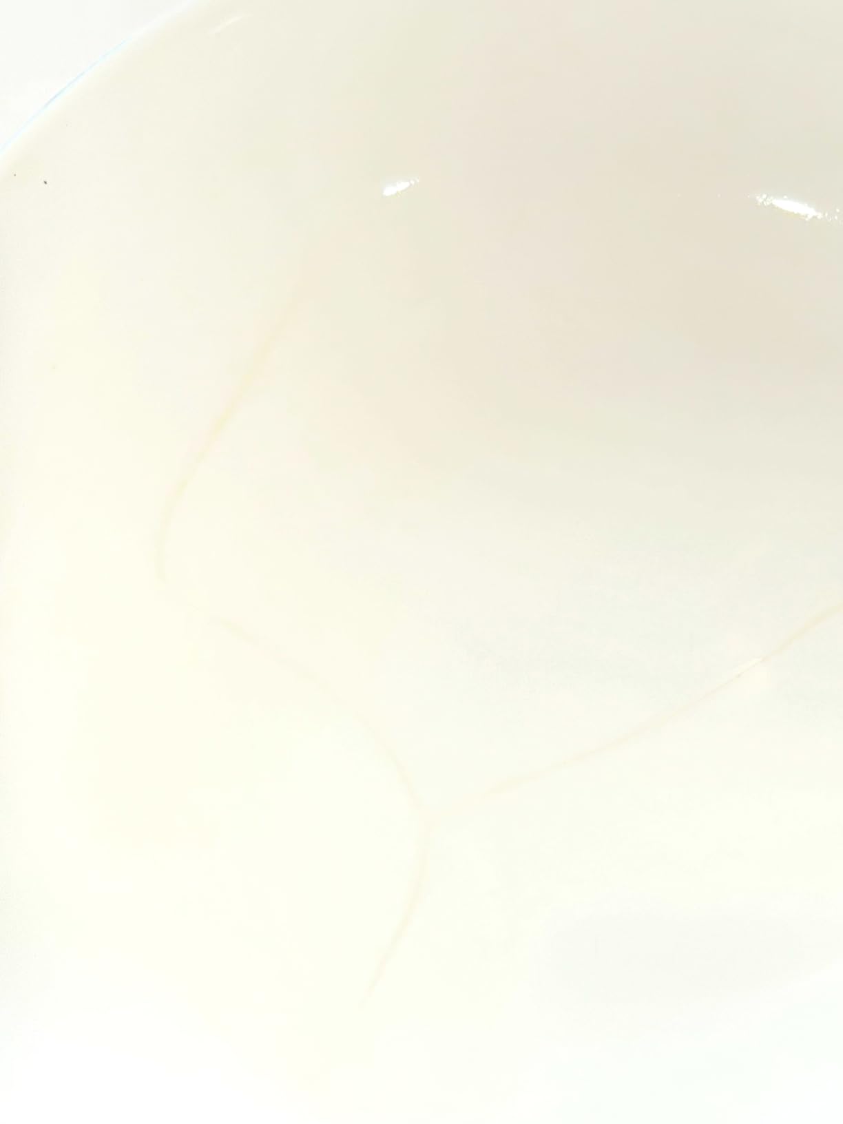 Mikasa Annabelle Bone China Dinnerware Set, 40-Piece Service for 8, White Hobnail Detail customer photo 1