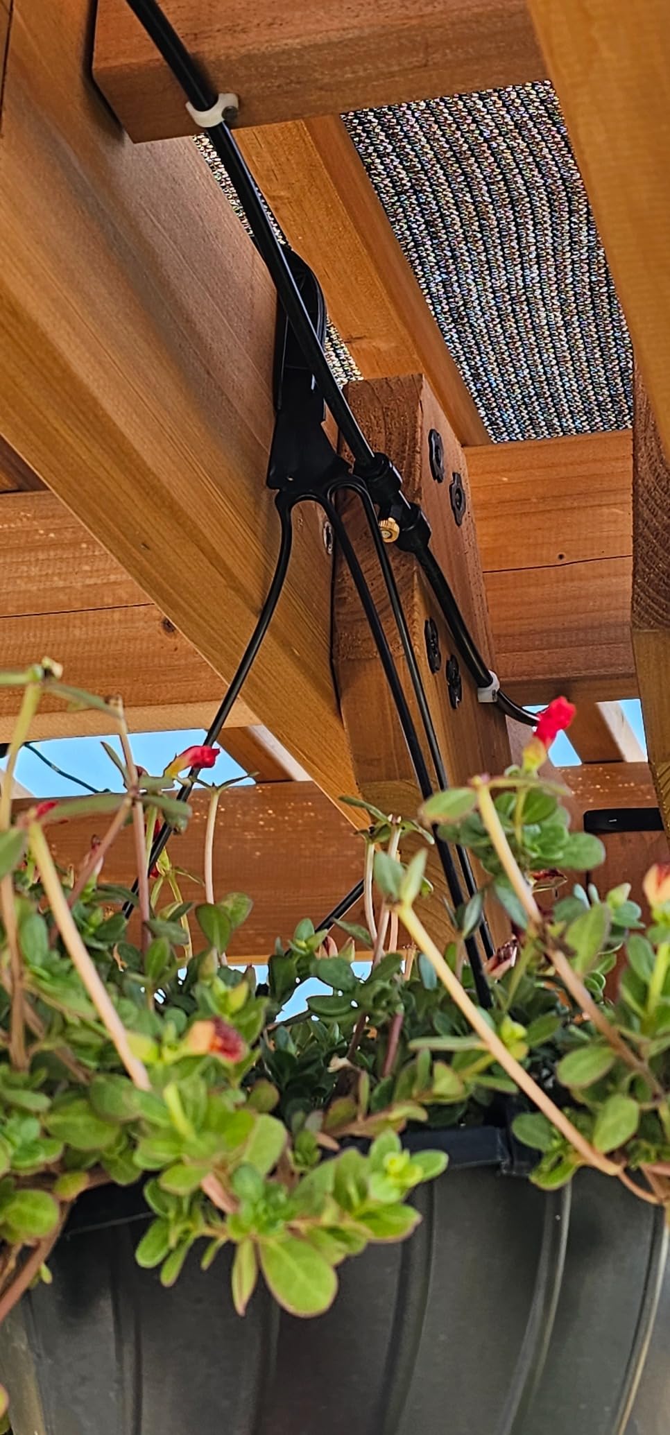 Bonviee 75FT Misters for Outside Patio, 28 Brass Nozzles, 3/4 Inch Adapter | Creates cooling fine mist for patios, gardens and greenhouses; 23M preassembled line supports easy DIY setup. customer photo 1