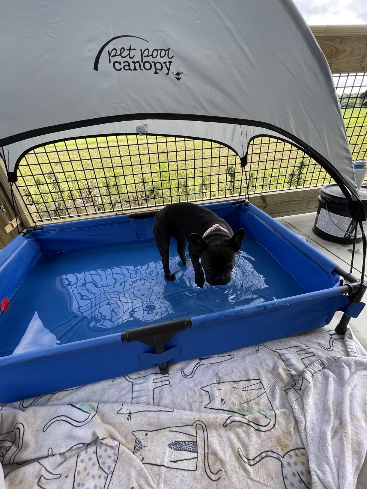 K&H Dog Pool, Portable Pet Bath, X-Large 50x32in, Chill Blue | Dog Pools for Large Dogs & Puppies, Splash Pad, Foldable Pool Design, Heavy Duty Liner with Metal Frame, Easy Drain Plug customer photo 2