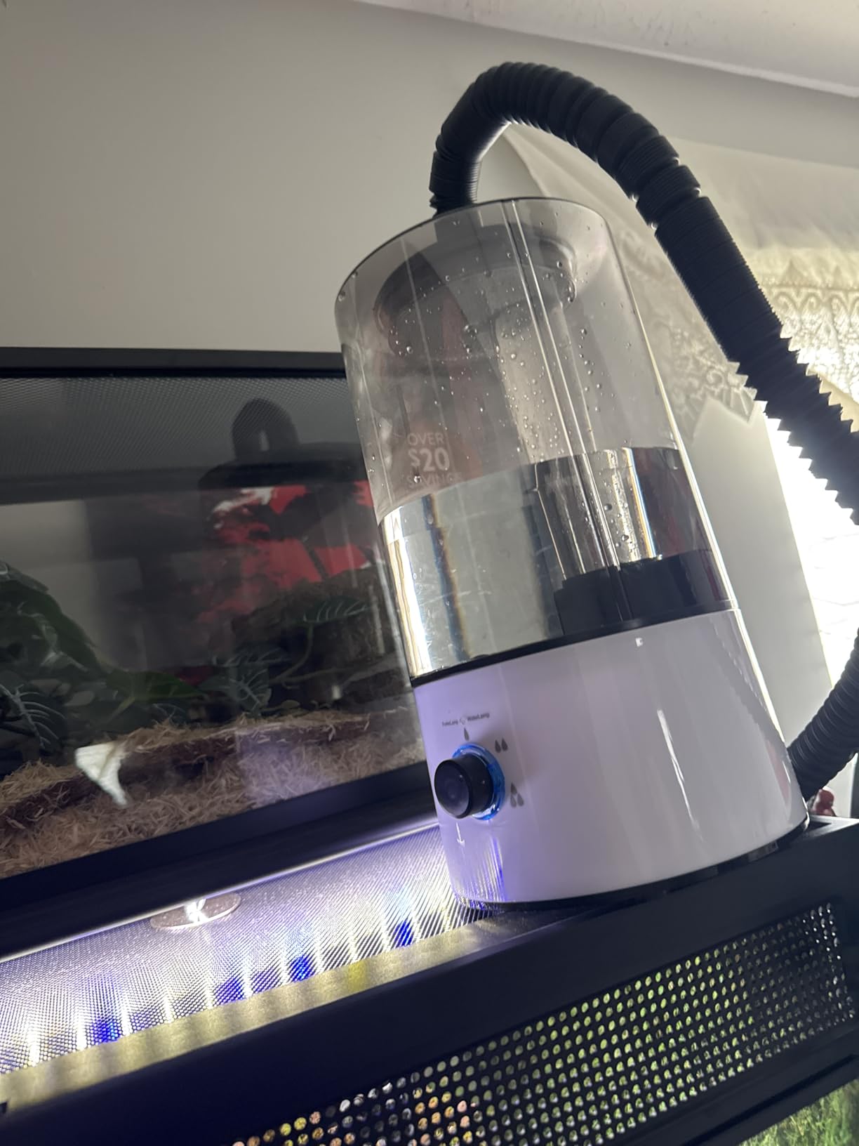 Dreyoo Reptile Humidifier Fogger, 4L Cool Mist Fog Mister with Tube | Reptile Humidifier Tortoise Habitat Chameleon Snake Amphibians, Compatible with All Terrariums, Cages and Enclosures customer photo 1